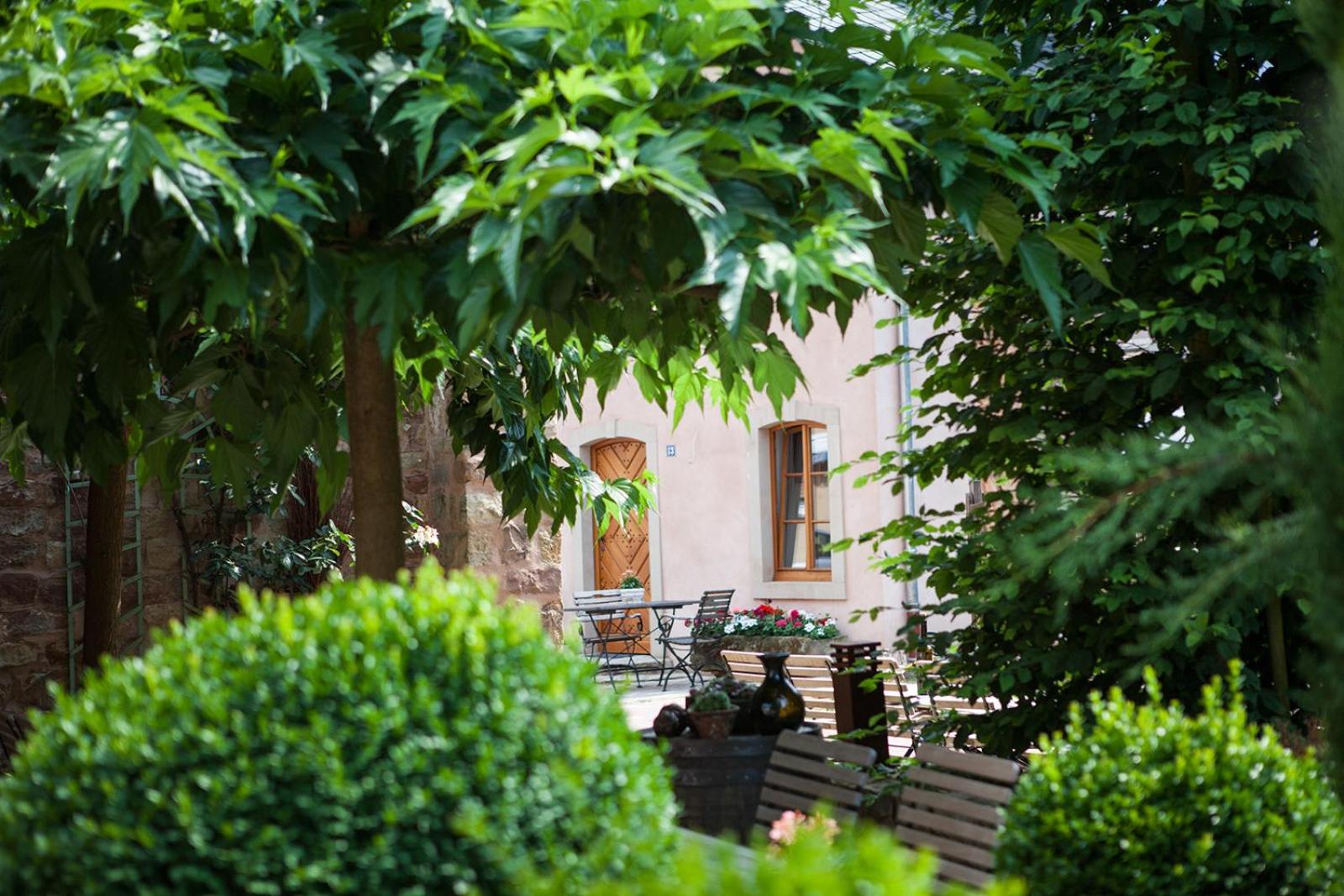 Weingut Gastehaus GiwerGreif - Property Image 3
