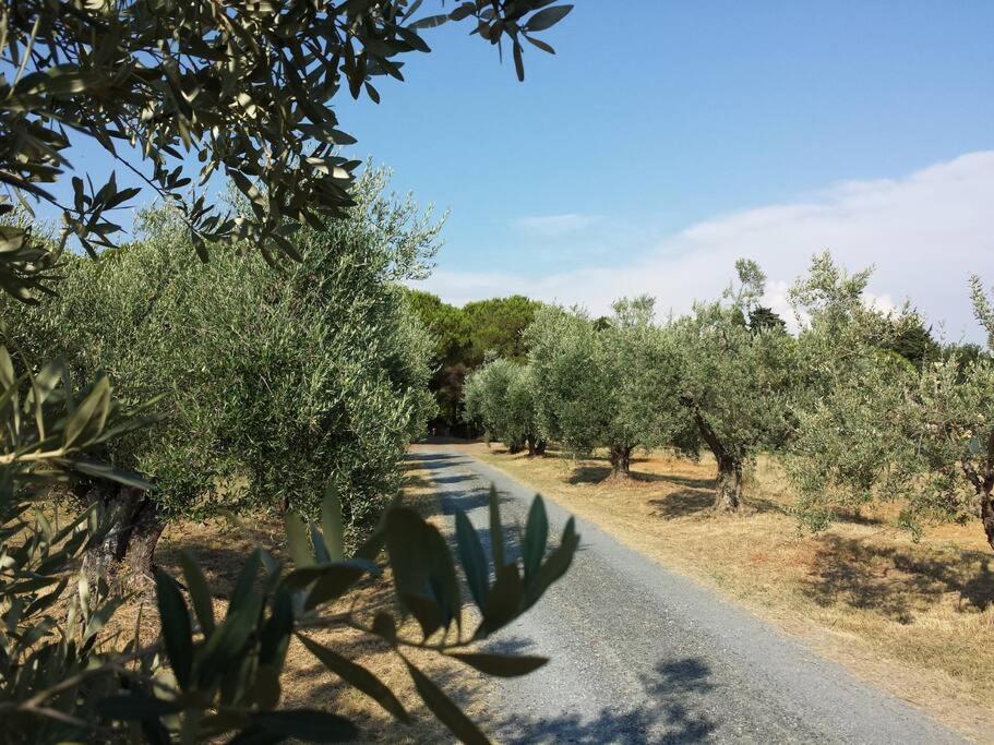 Tenuta la Valle Relaxing Oasis with pool in Tuascany