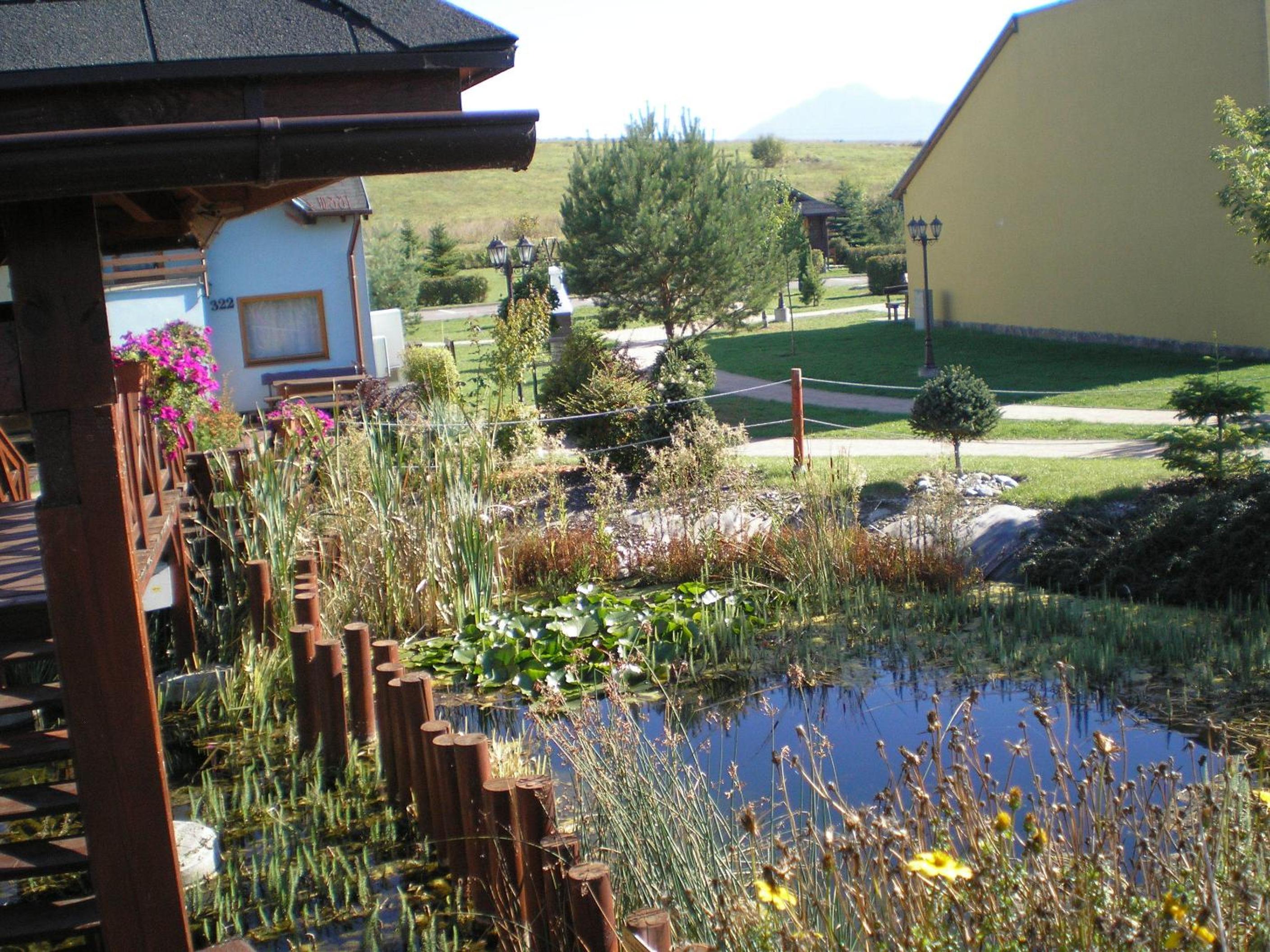 Photo 22