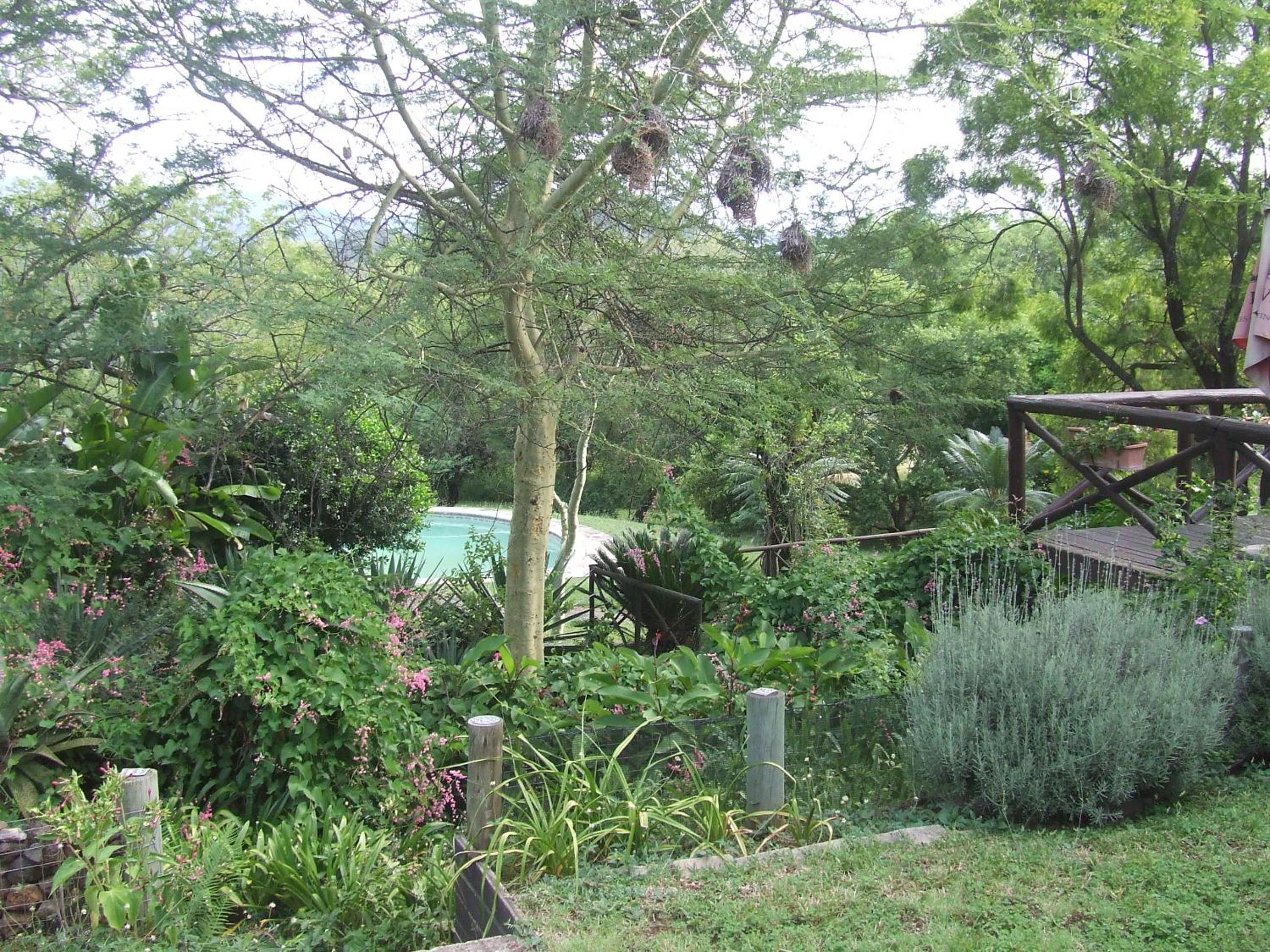 Photo 27
