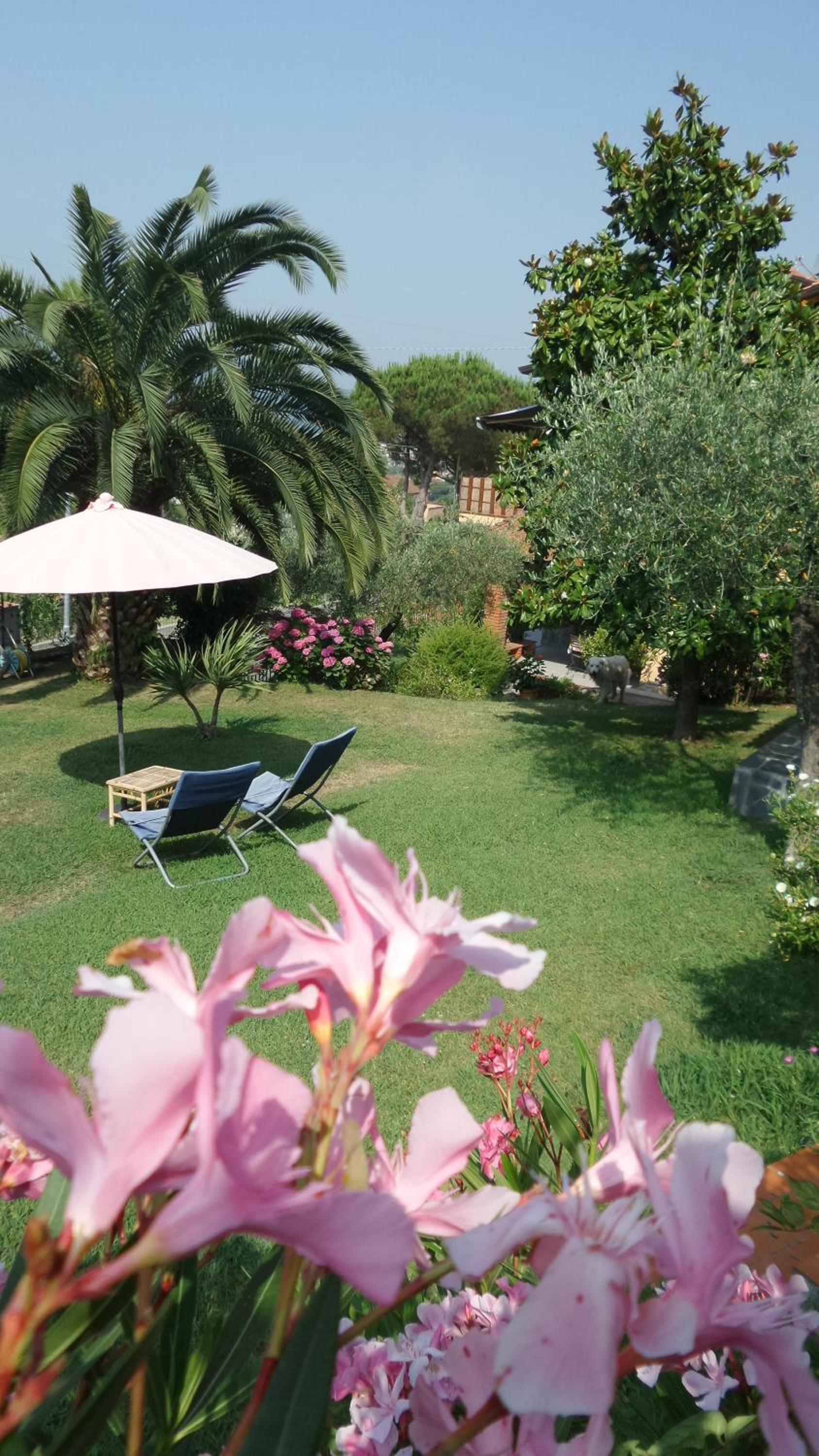 Casa Vacanze Colline di Luni view 3