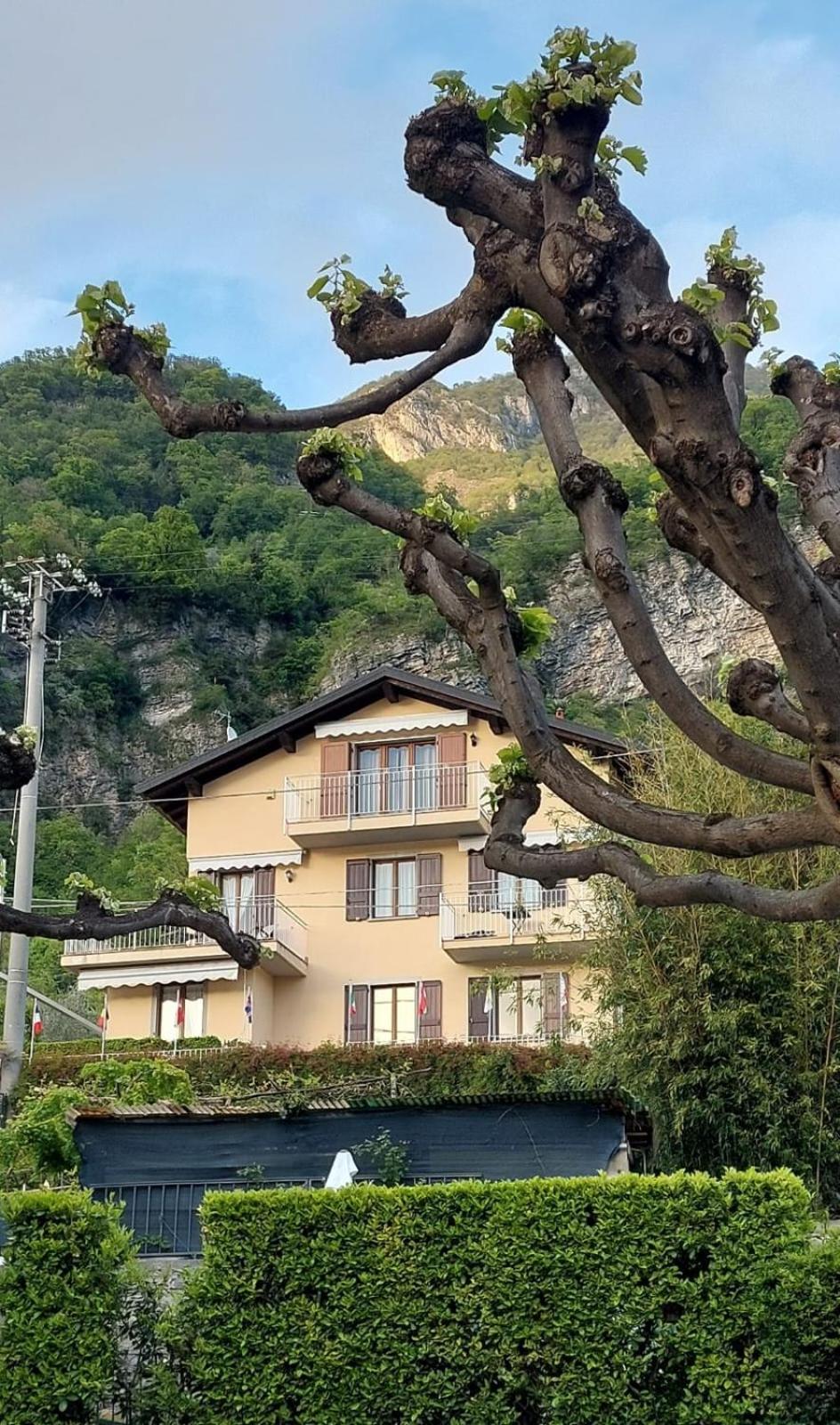 B&B-FORESTERIA Casa Della Musica Lake Como view 5