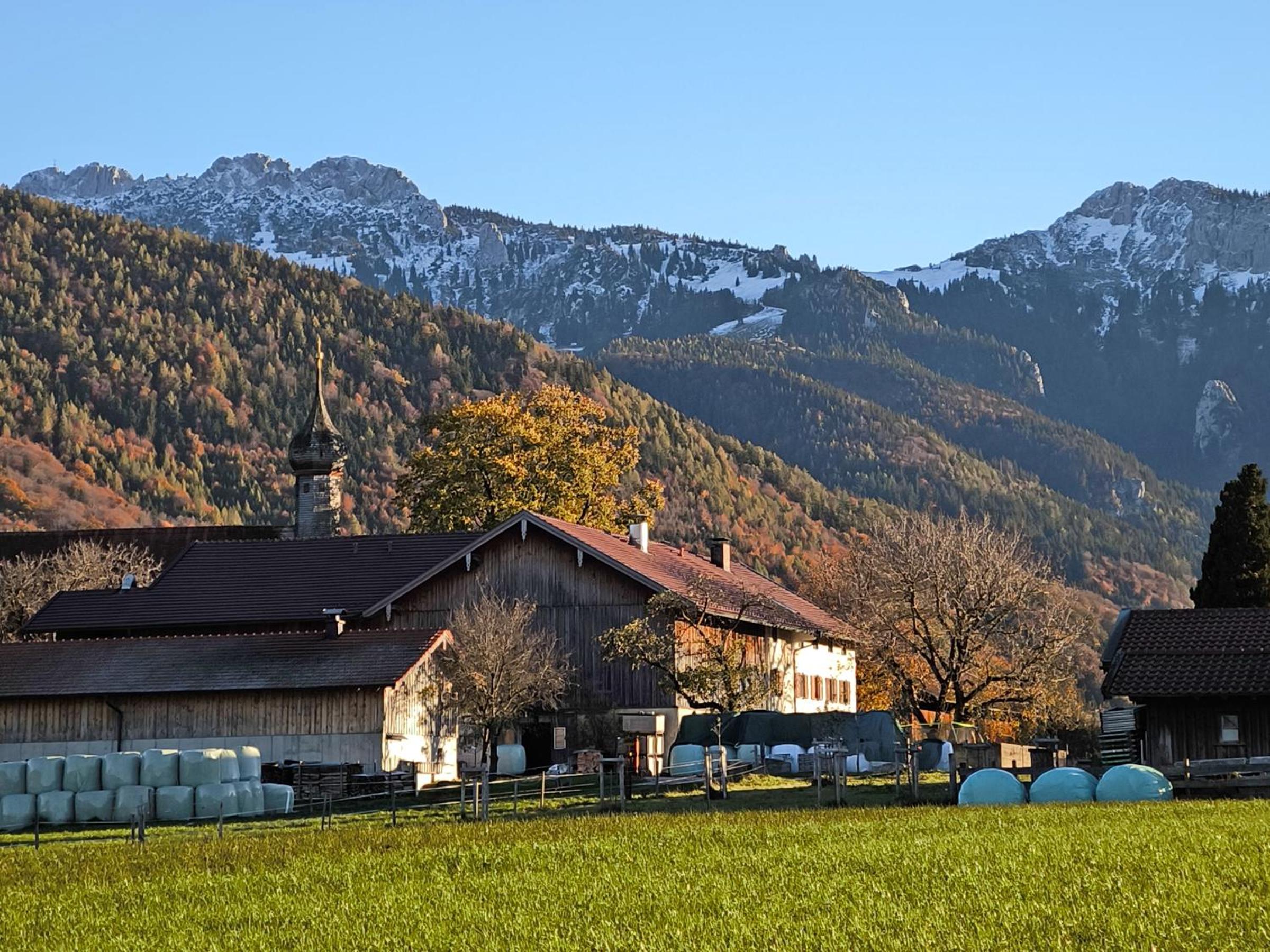 Bauernhof Geigerhof