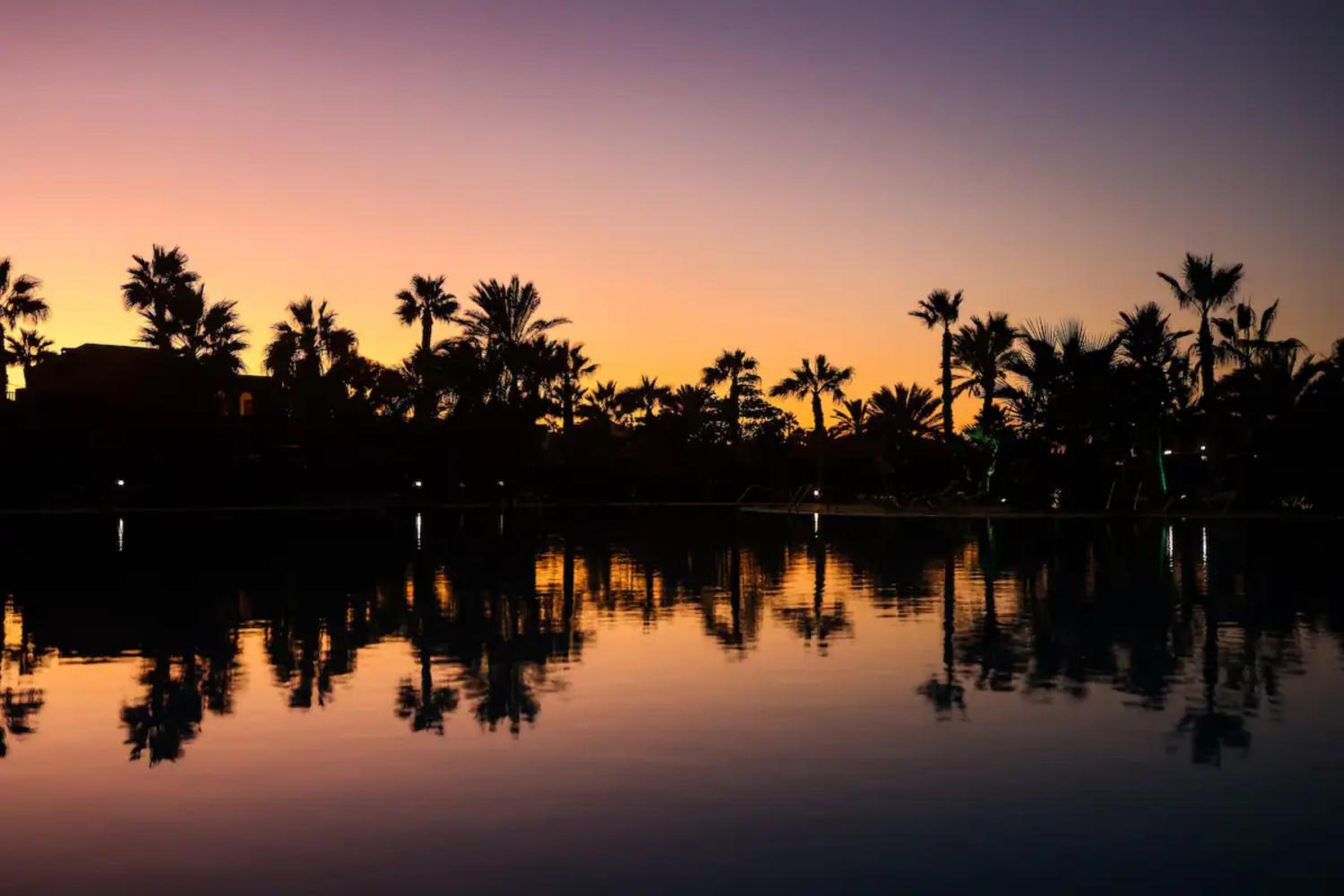 Oasis Tamarindo