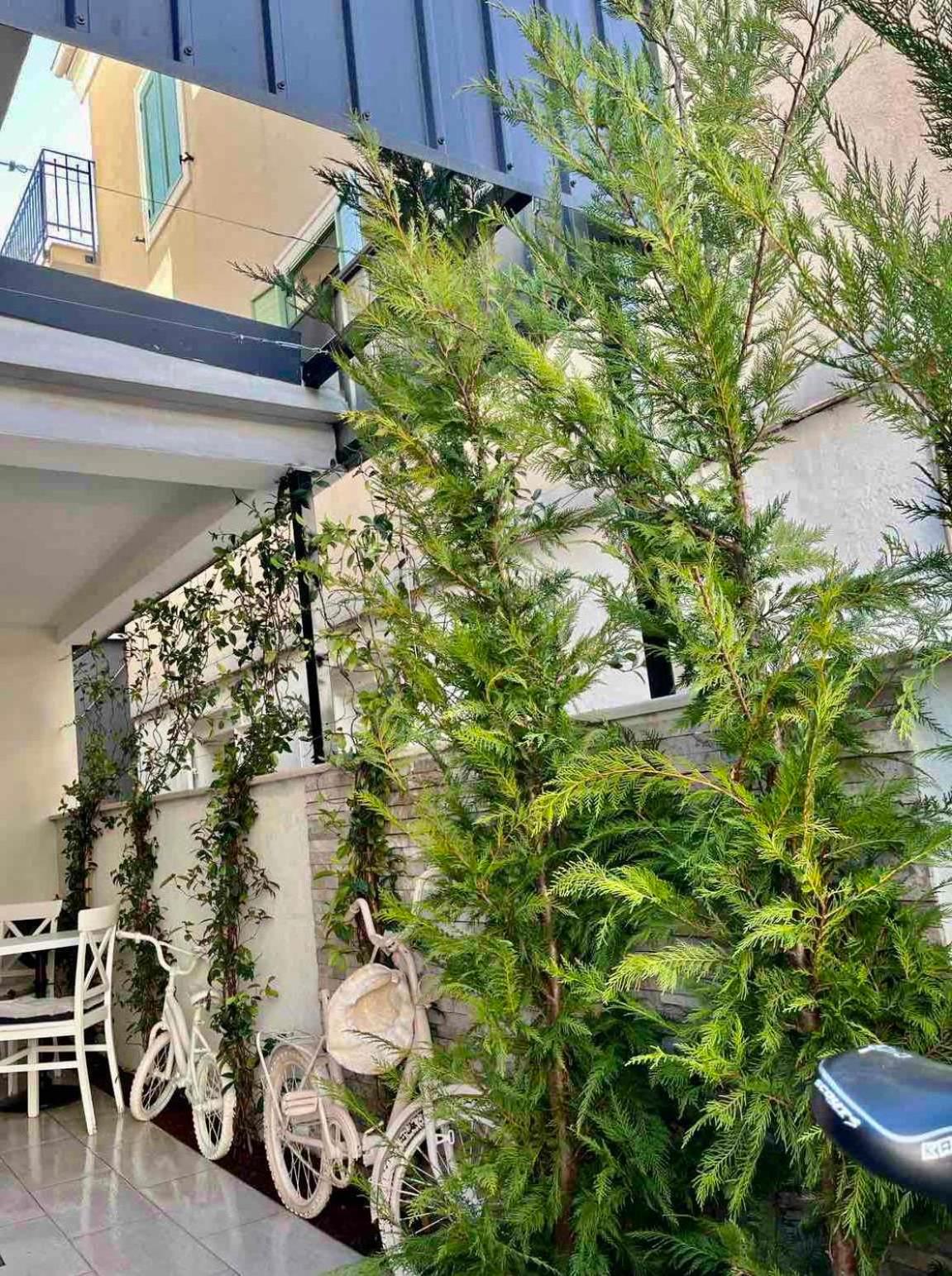 Bofima Apartments