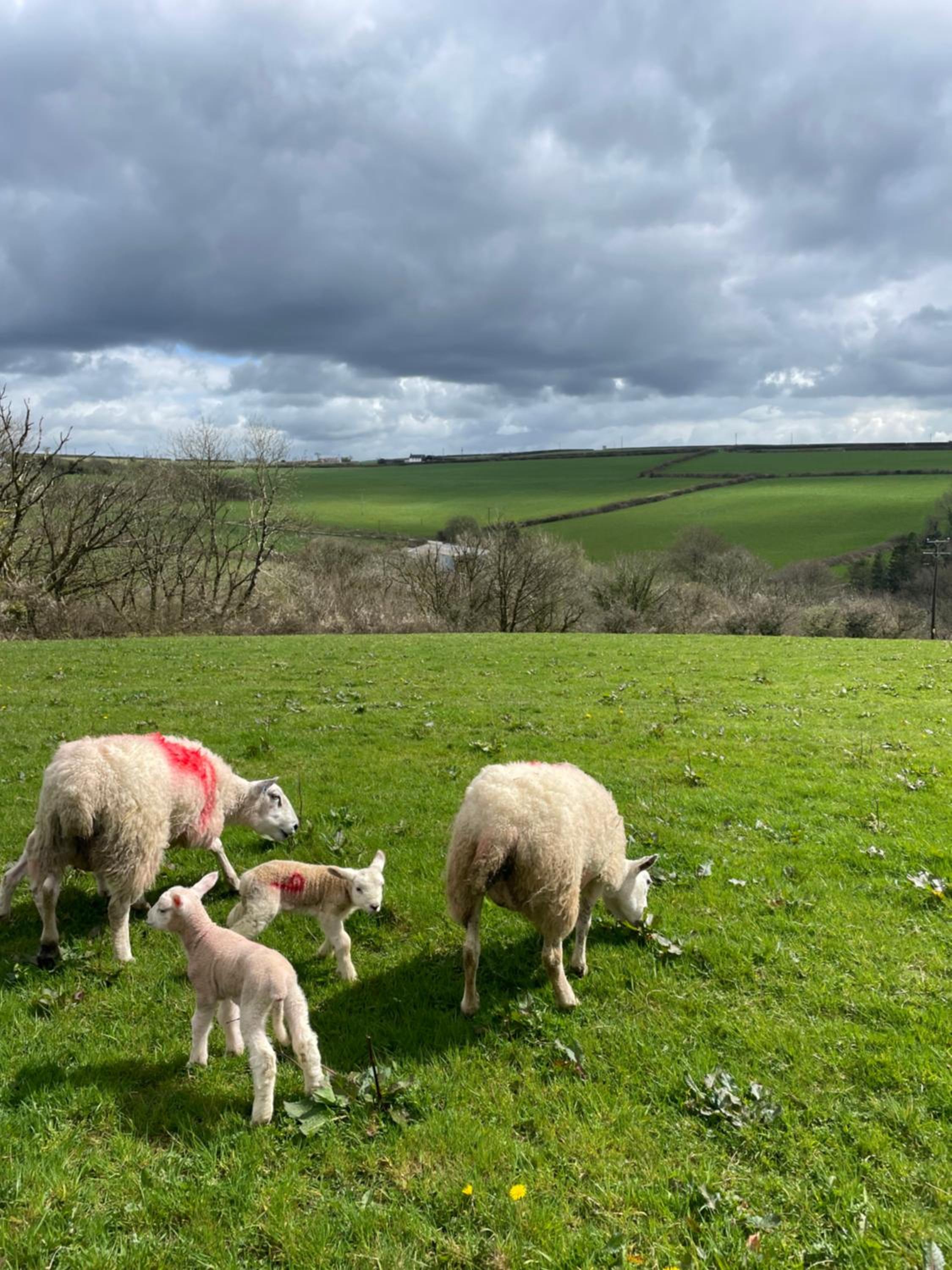 Barnaby’s Barn view 3