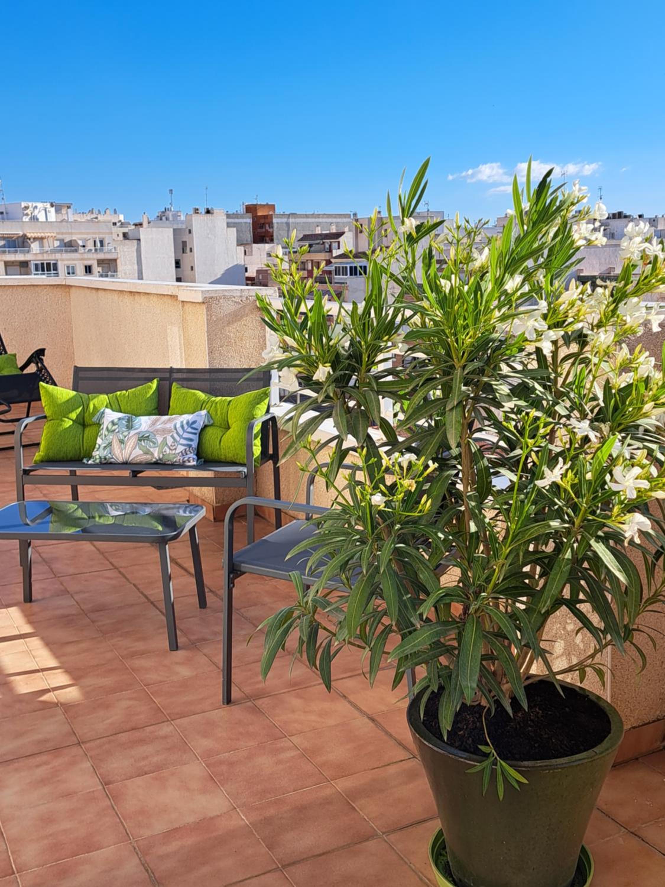 Atico Roof Top Torrevieja