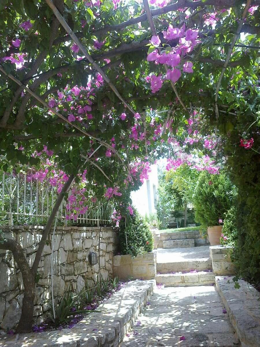 Premium Rethymno Villa 3 Bedrooms Villa Hinaki view 5