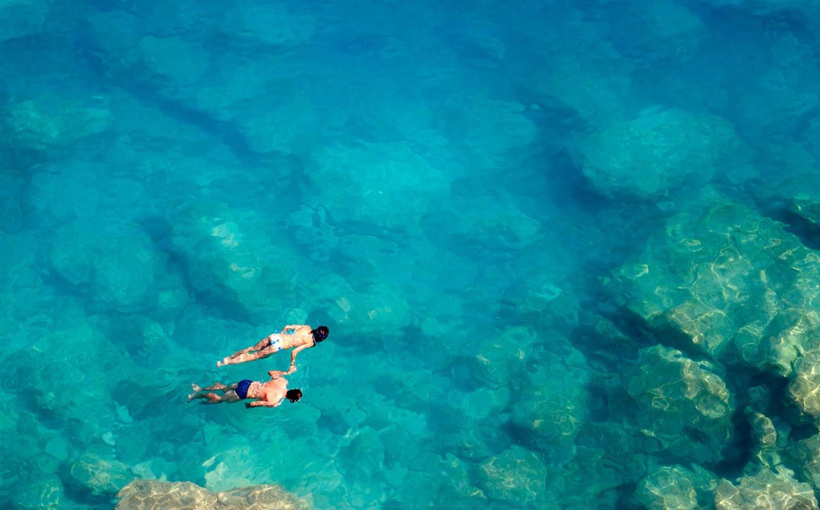 Lavender Residence - Image 73