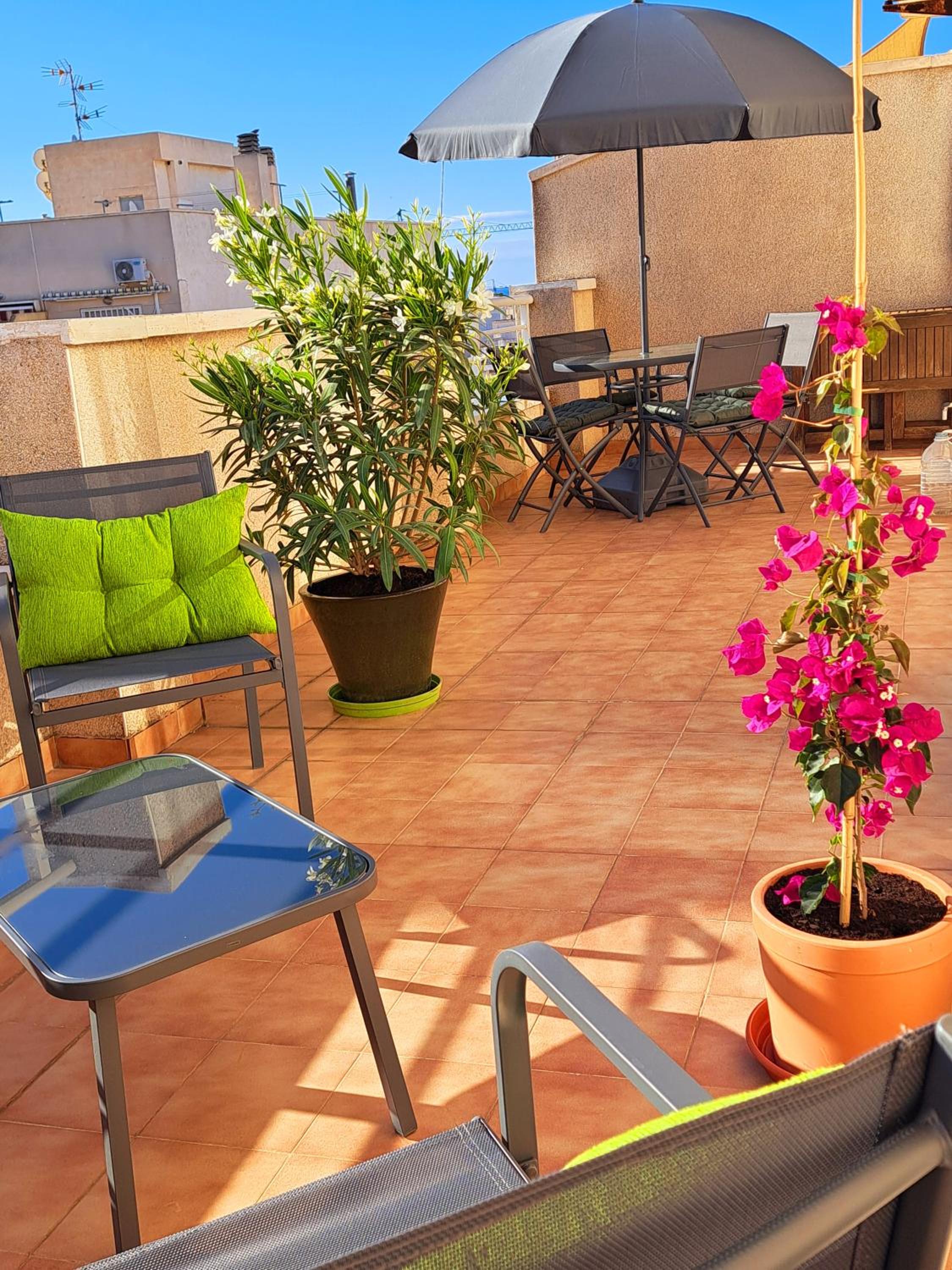 Atico Roof Top Torrevieja