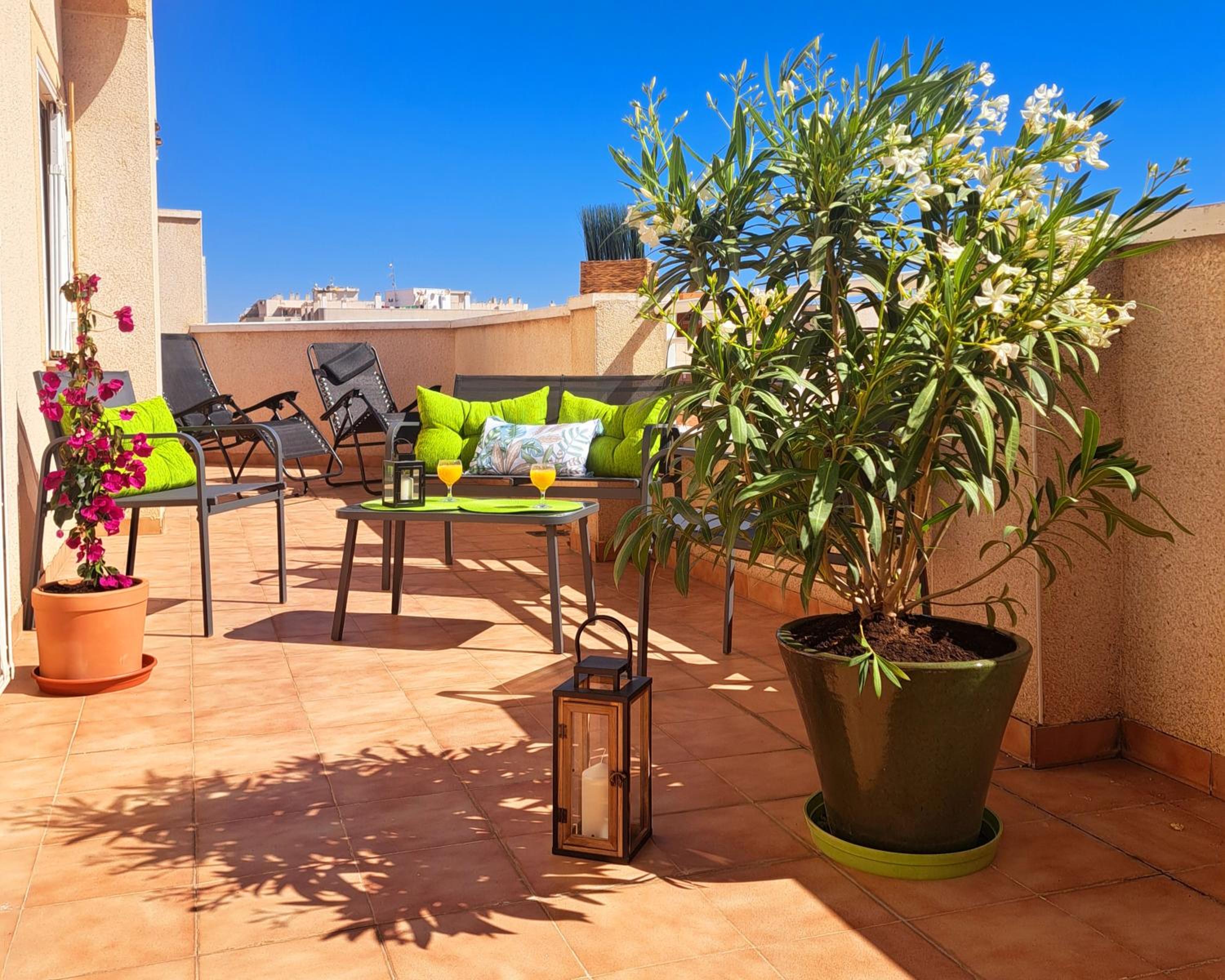 Atico Roof Top Torrevieja