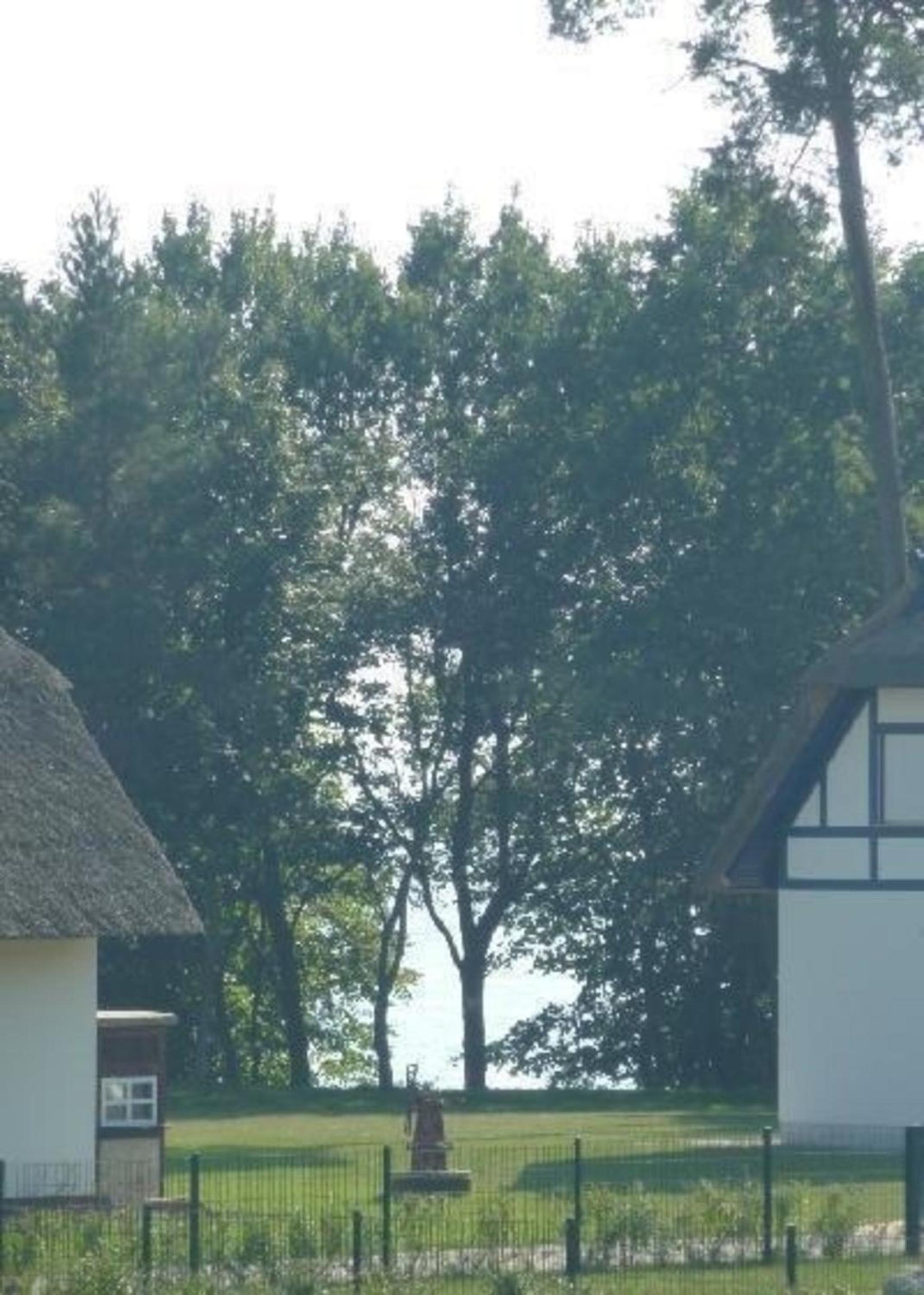 Ferienhaus Am Haff