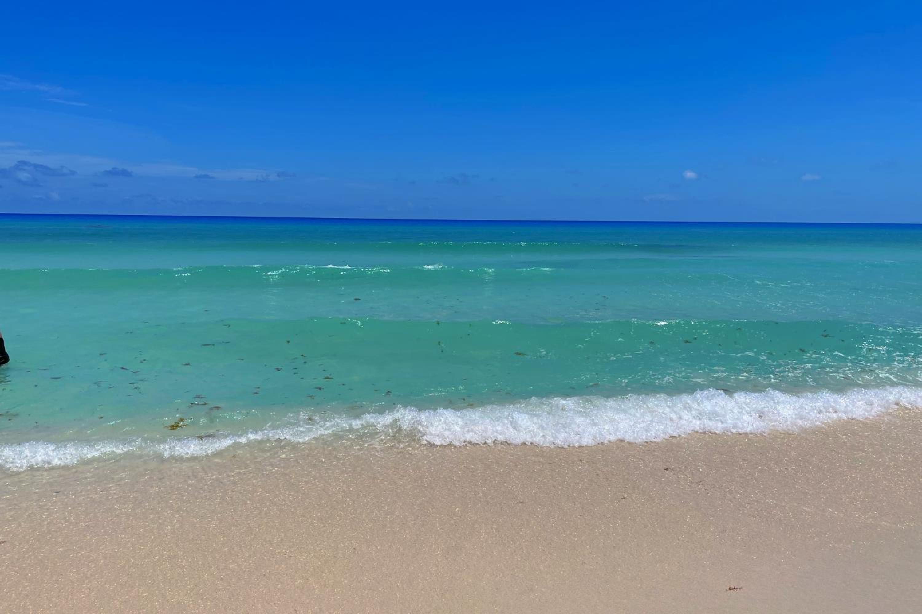 Seaside Escape Studio in Cancun Beach