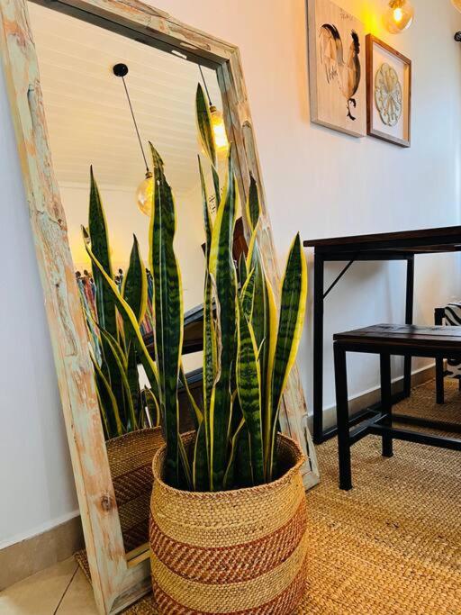 Photo 29