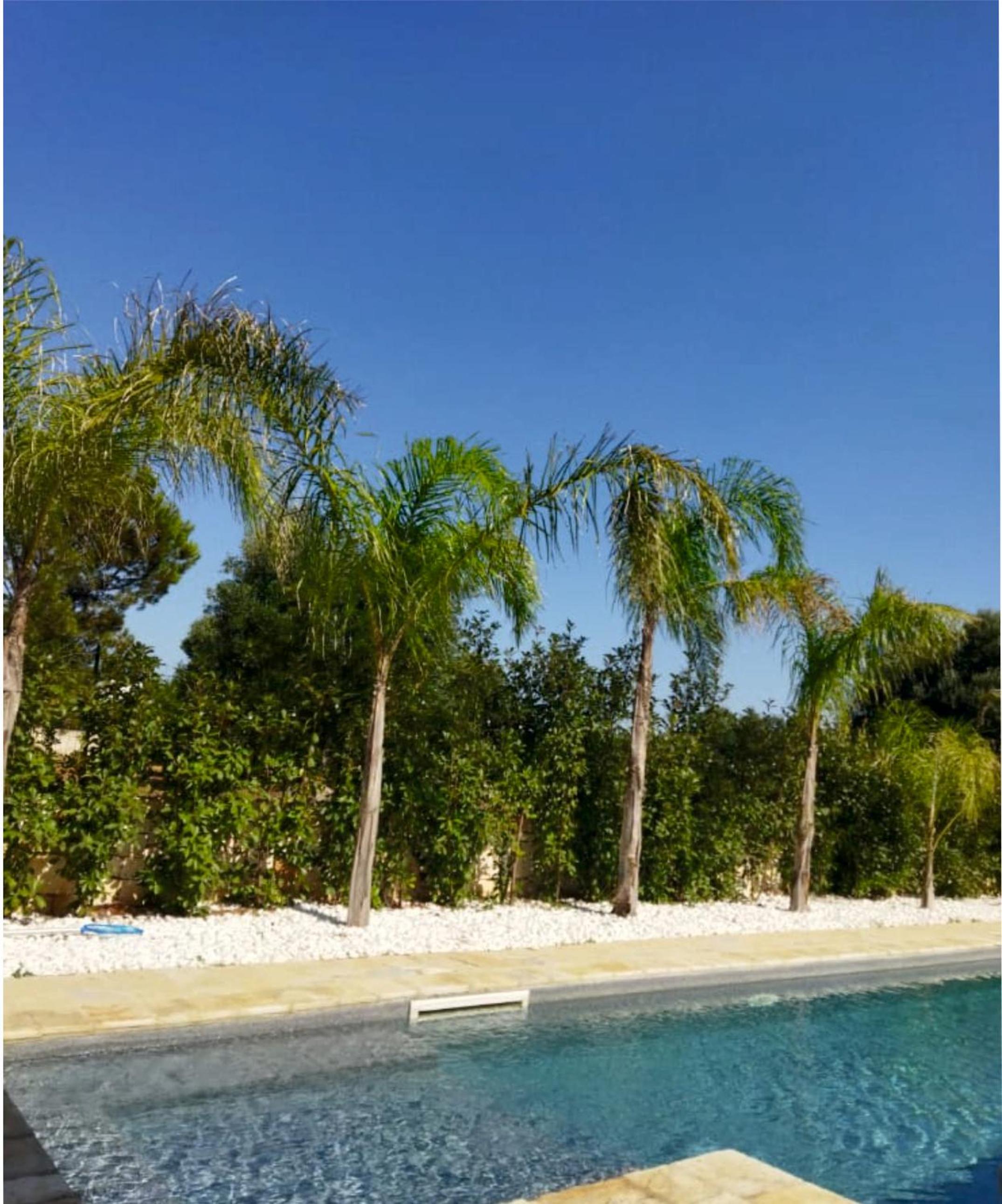 Villa Brachychiton