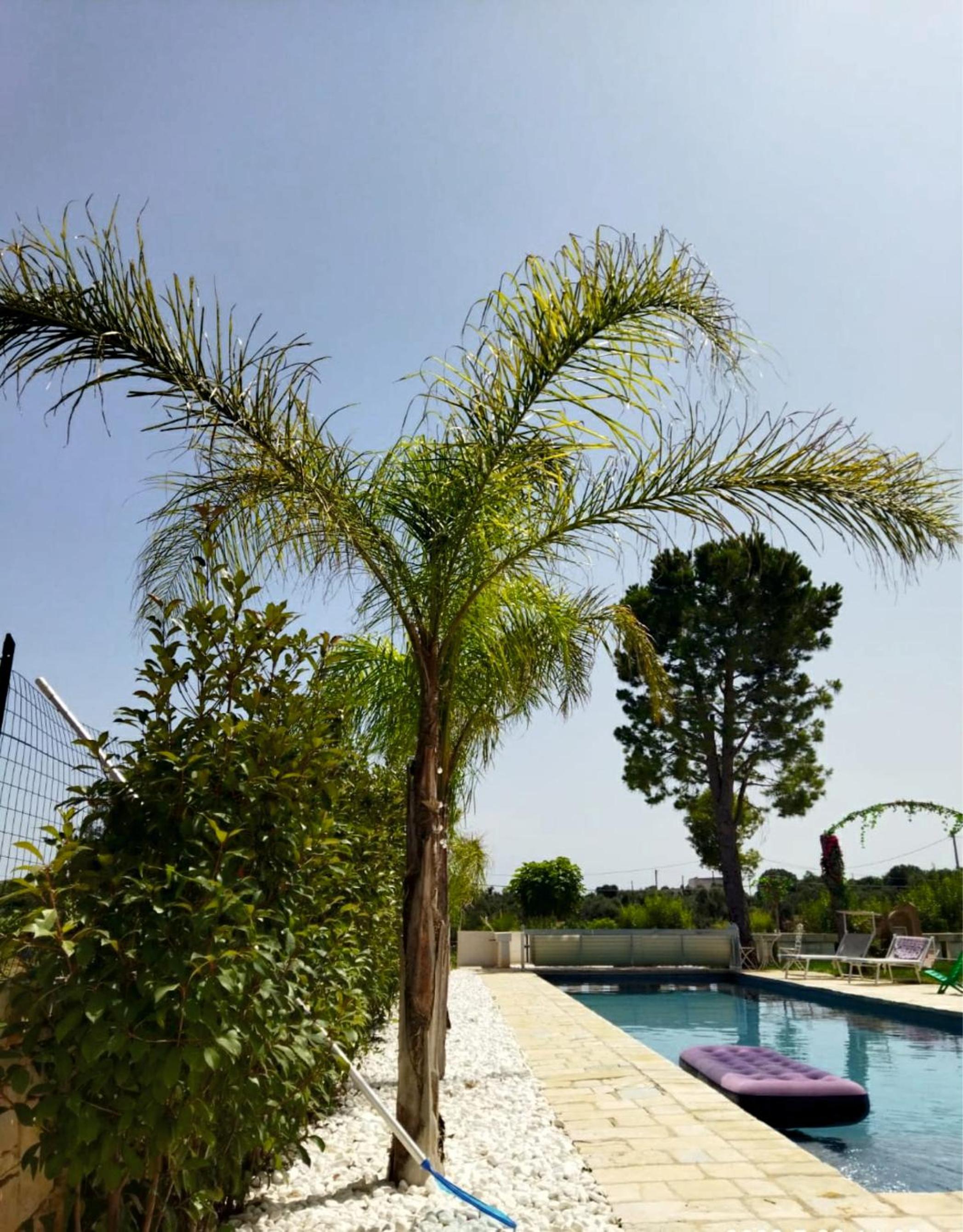 Villa Brachychiton