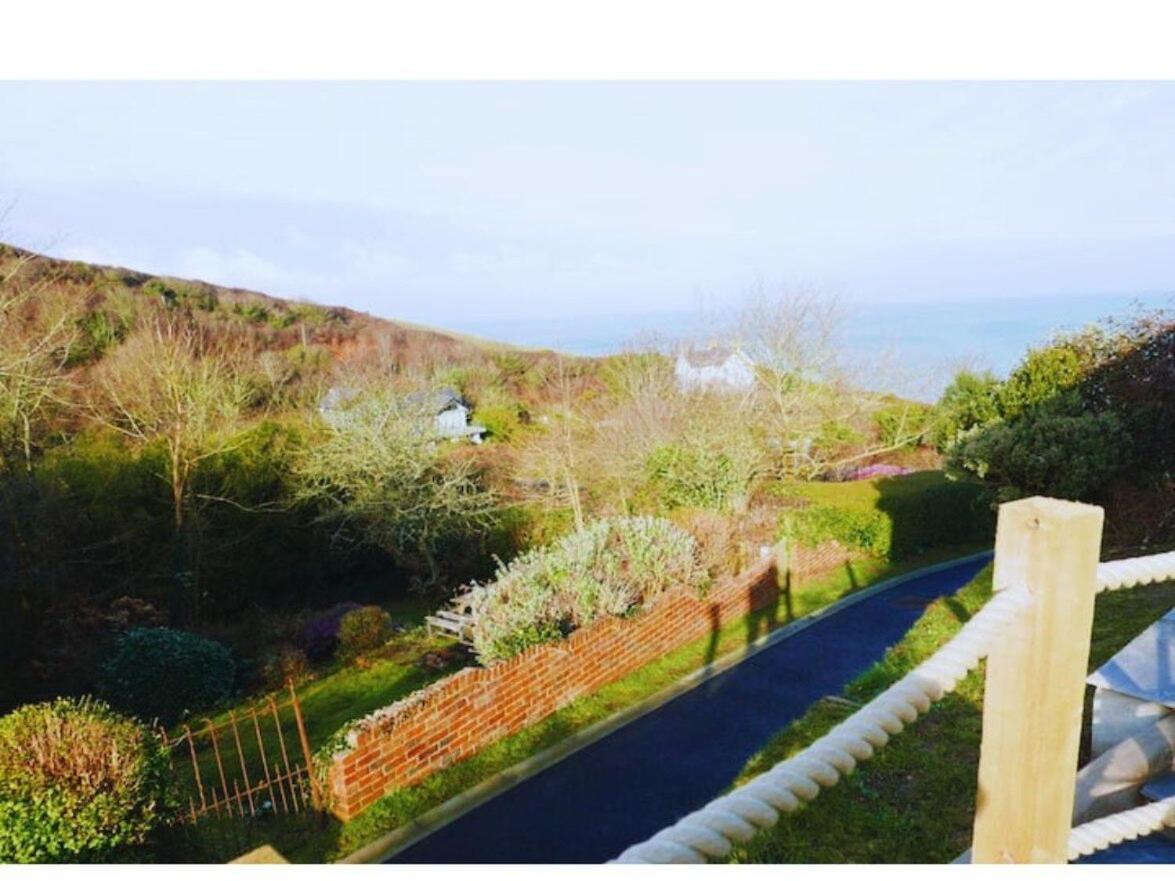 Morwelir Llangrannog