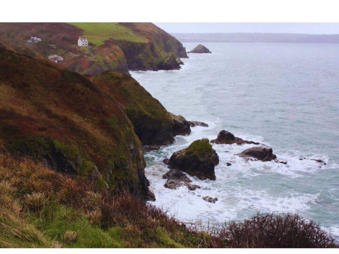 Morwelir Llangrannog