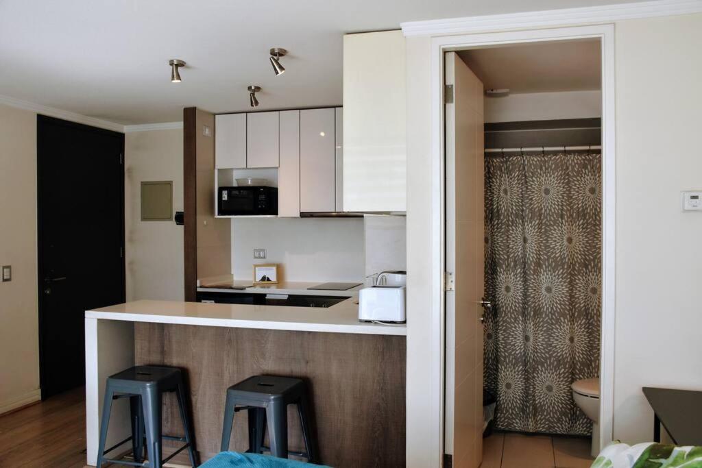 The Singular Apartment