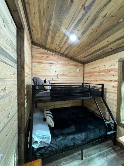 The New Romantic Moonlight Dream Cabin!