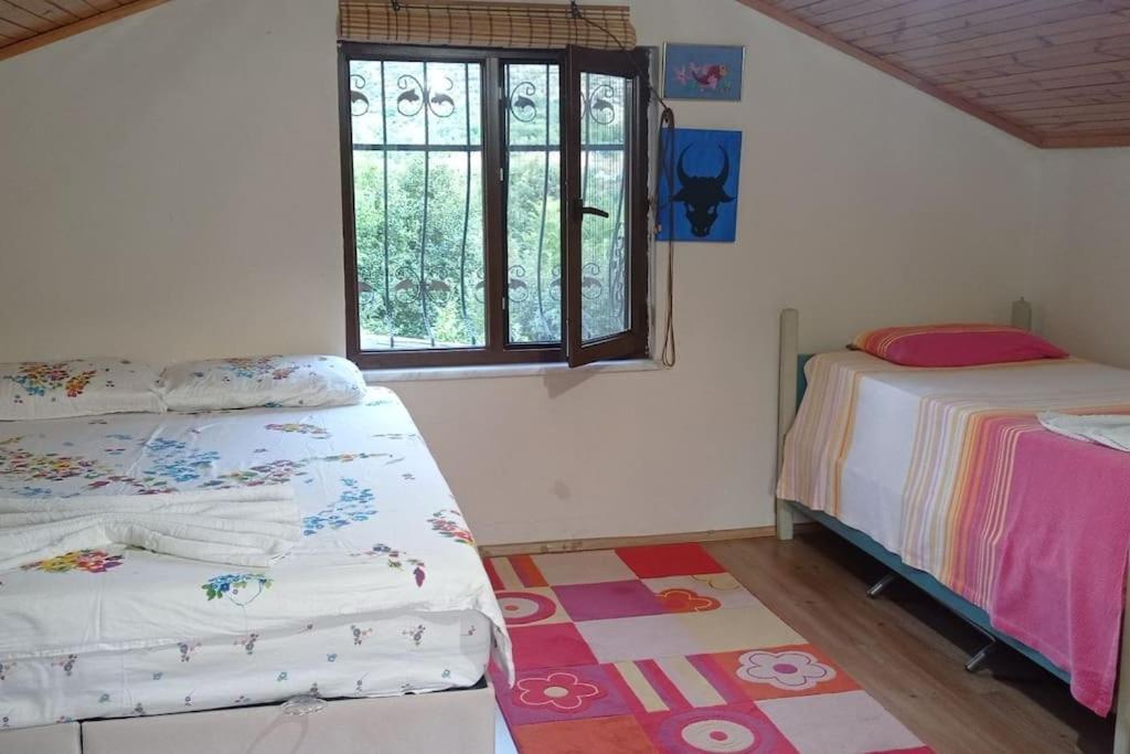 HAS Bağ Evi view 3