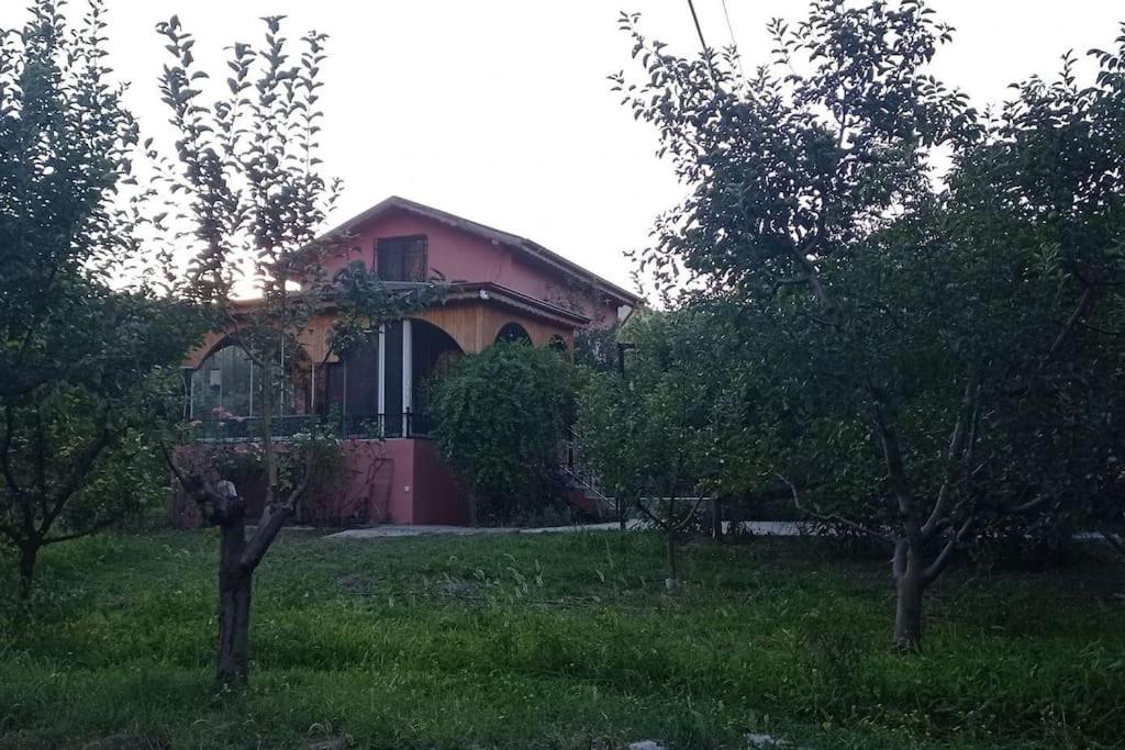 HAS Bağ Evi view 4