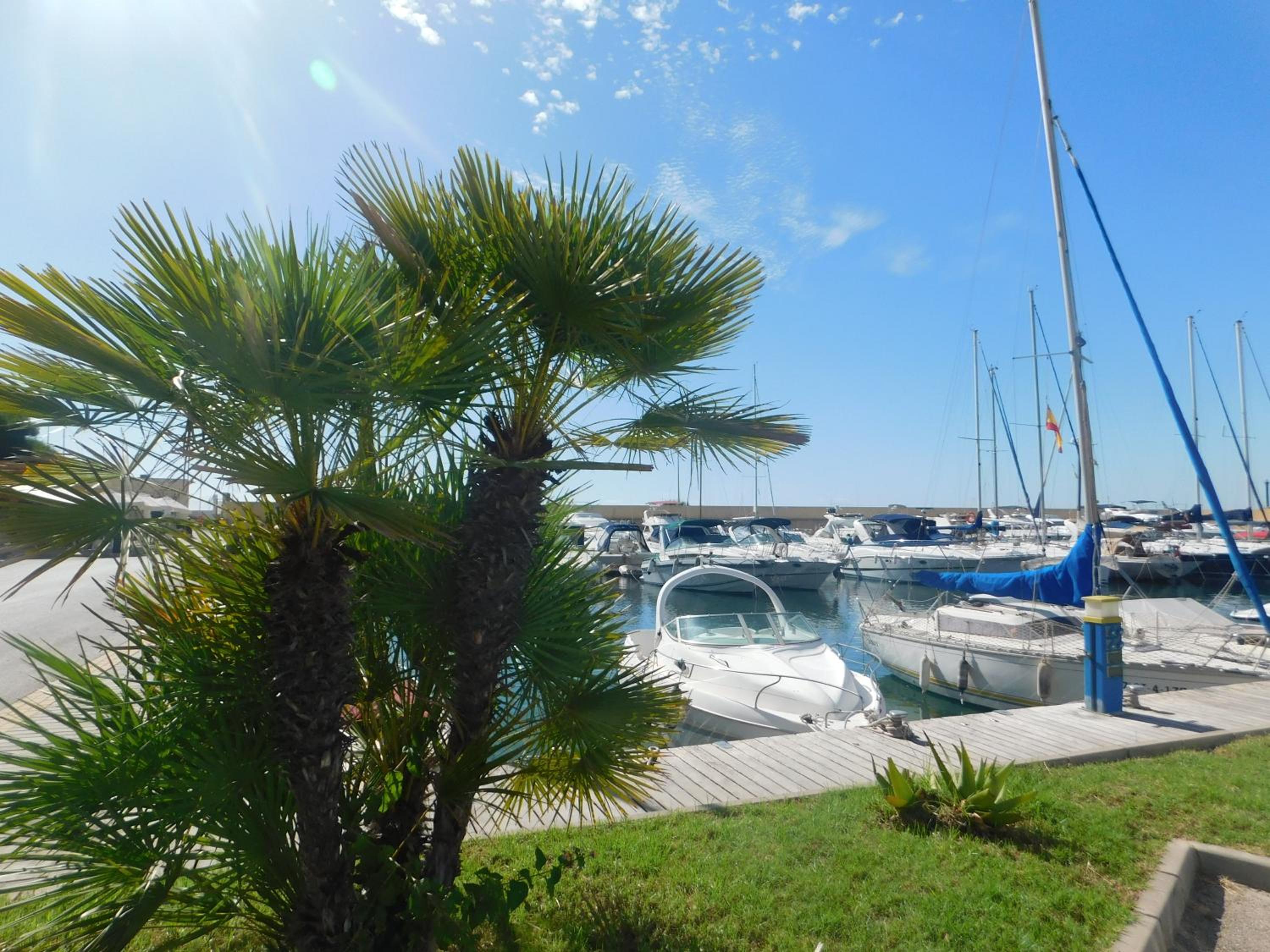 Playamarina I en Cabo Roig — other