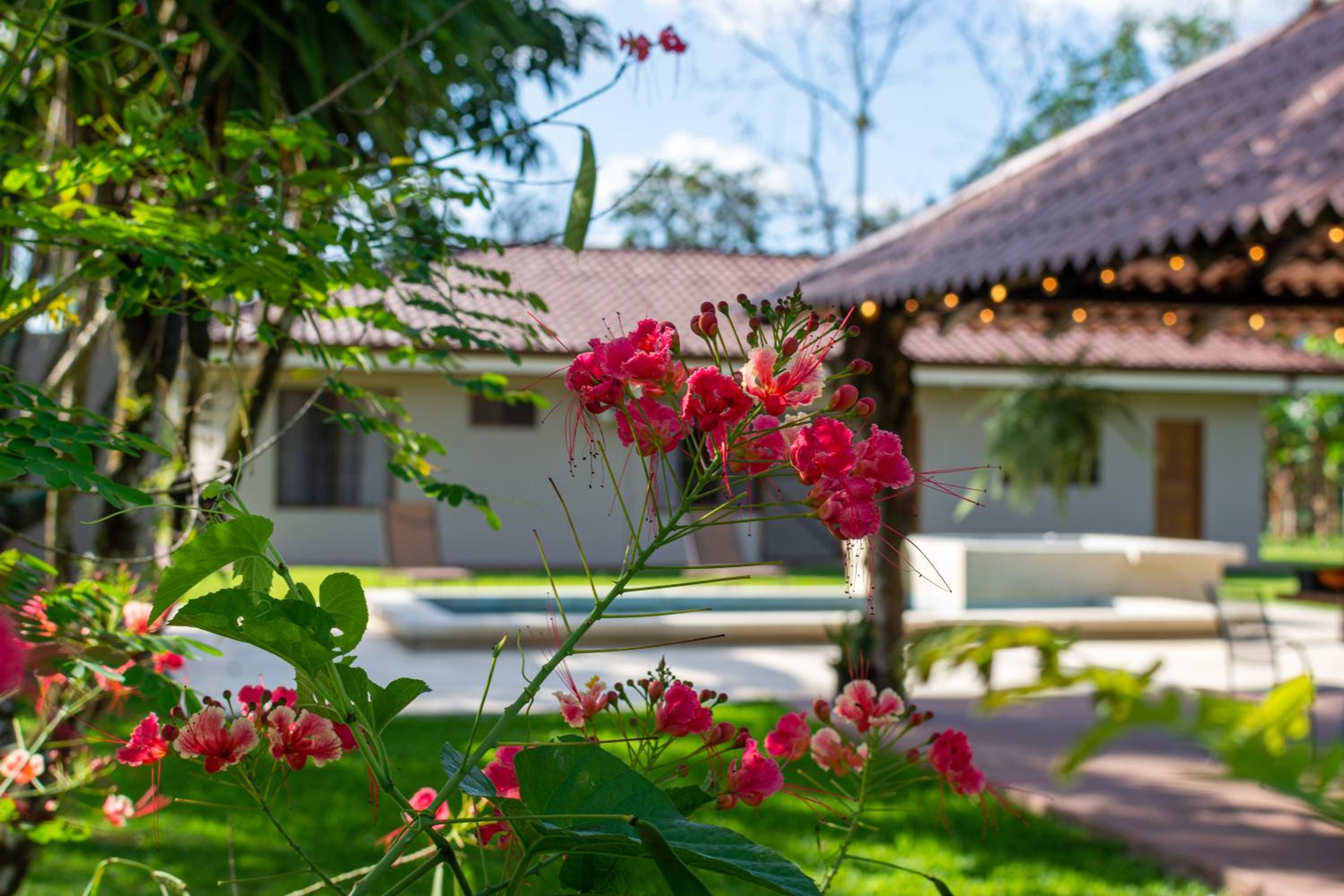Casa Roble Fortuna