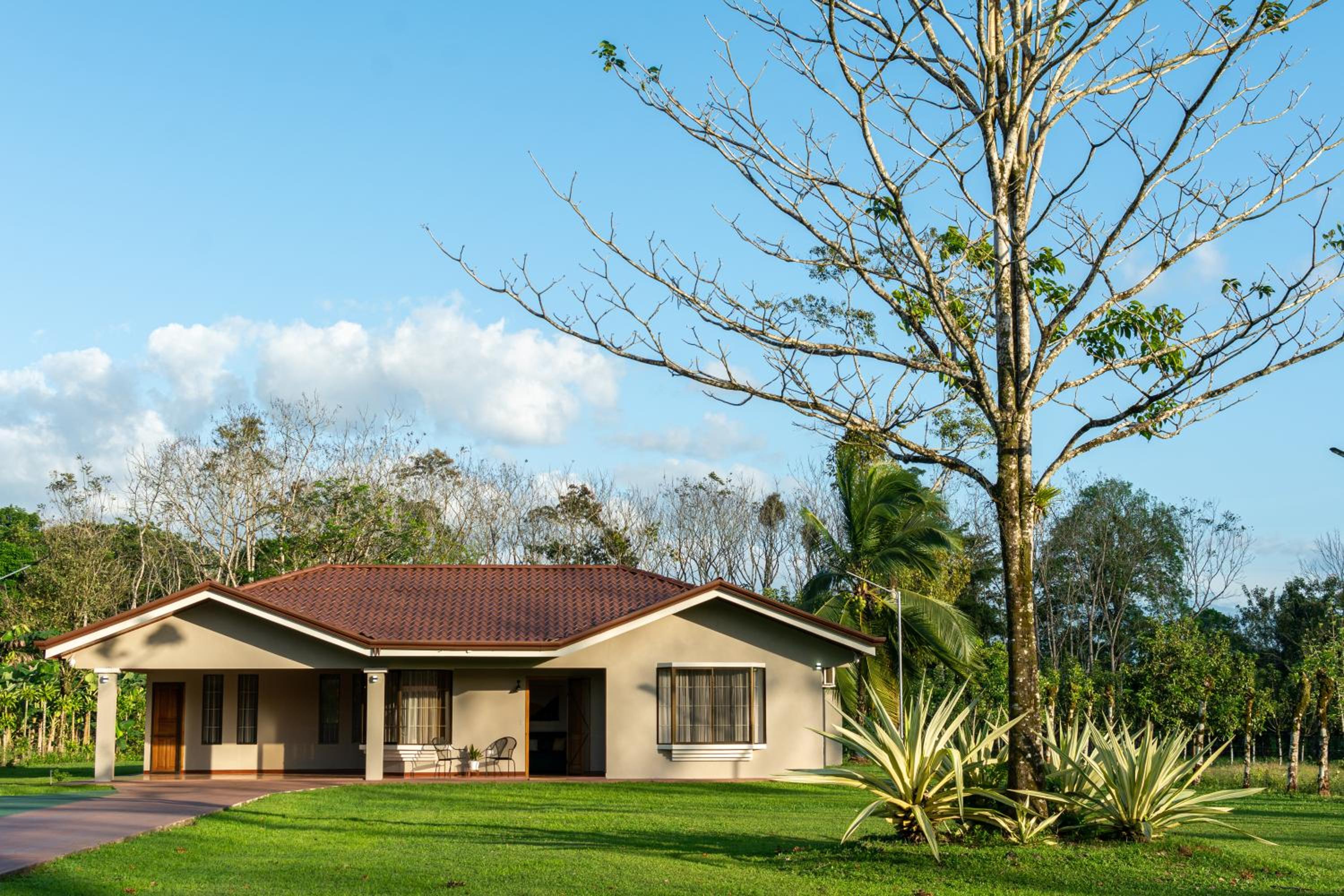 Casa Roble Fortuna