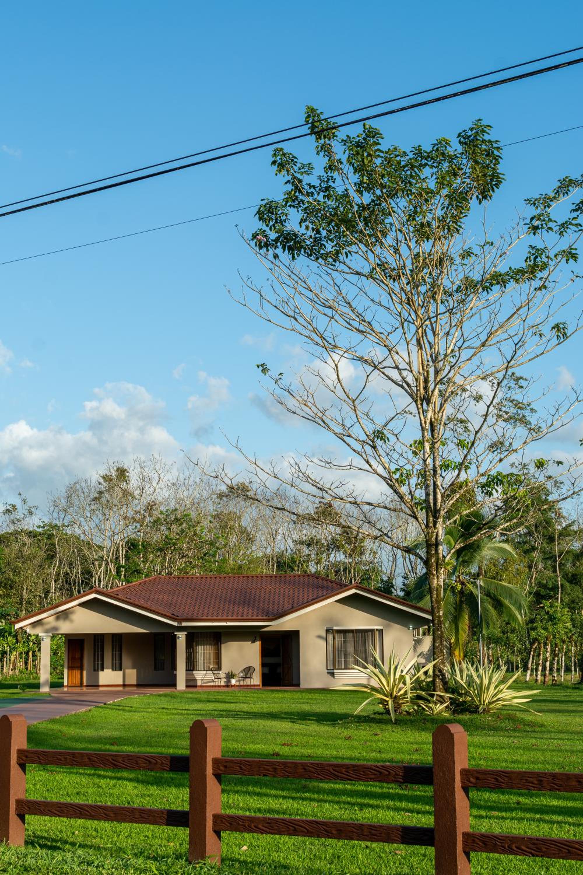 Casa Roble Fortuna