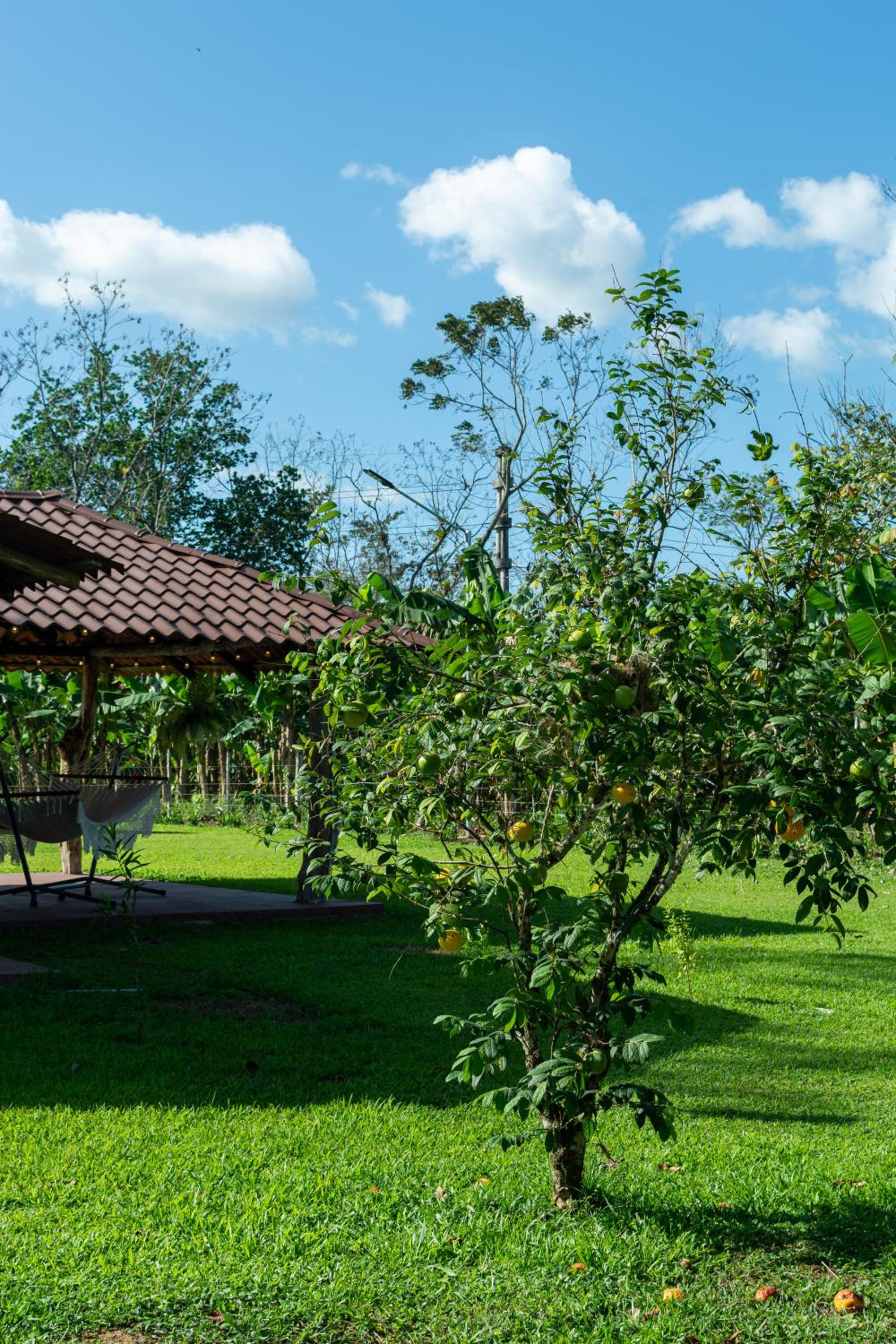 Casa Roble Fortuna