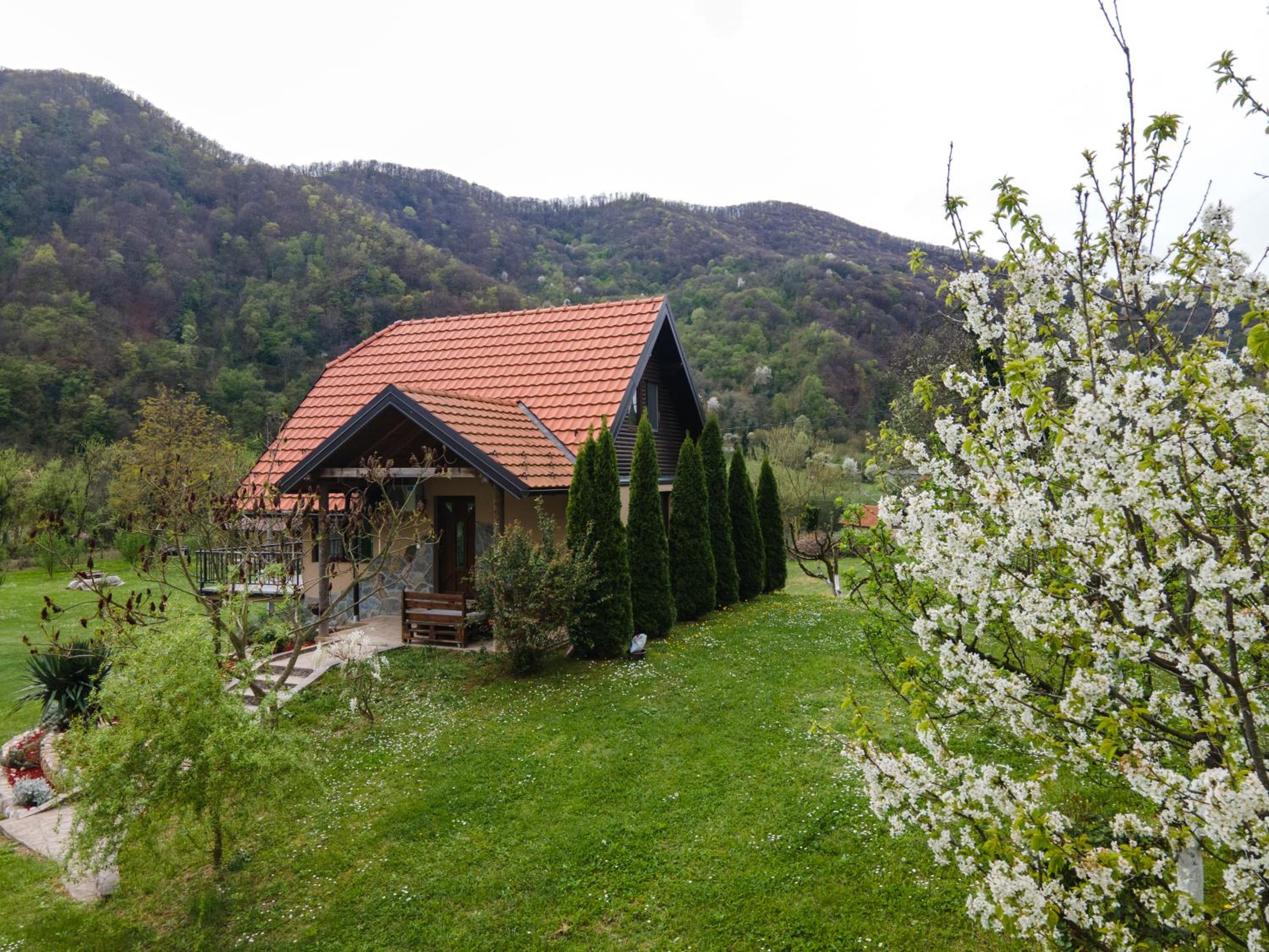 Photo 15