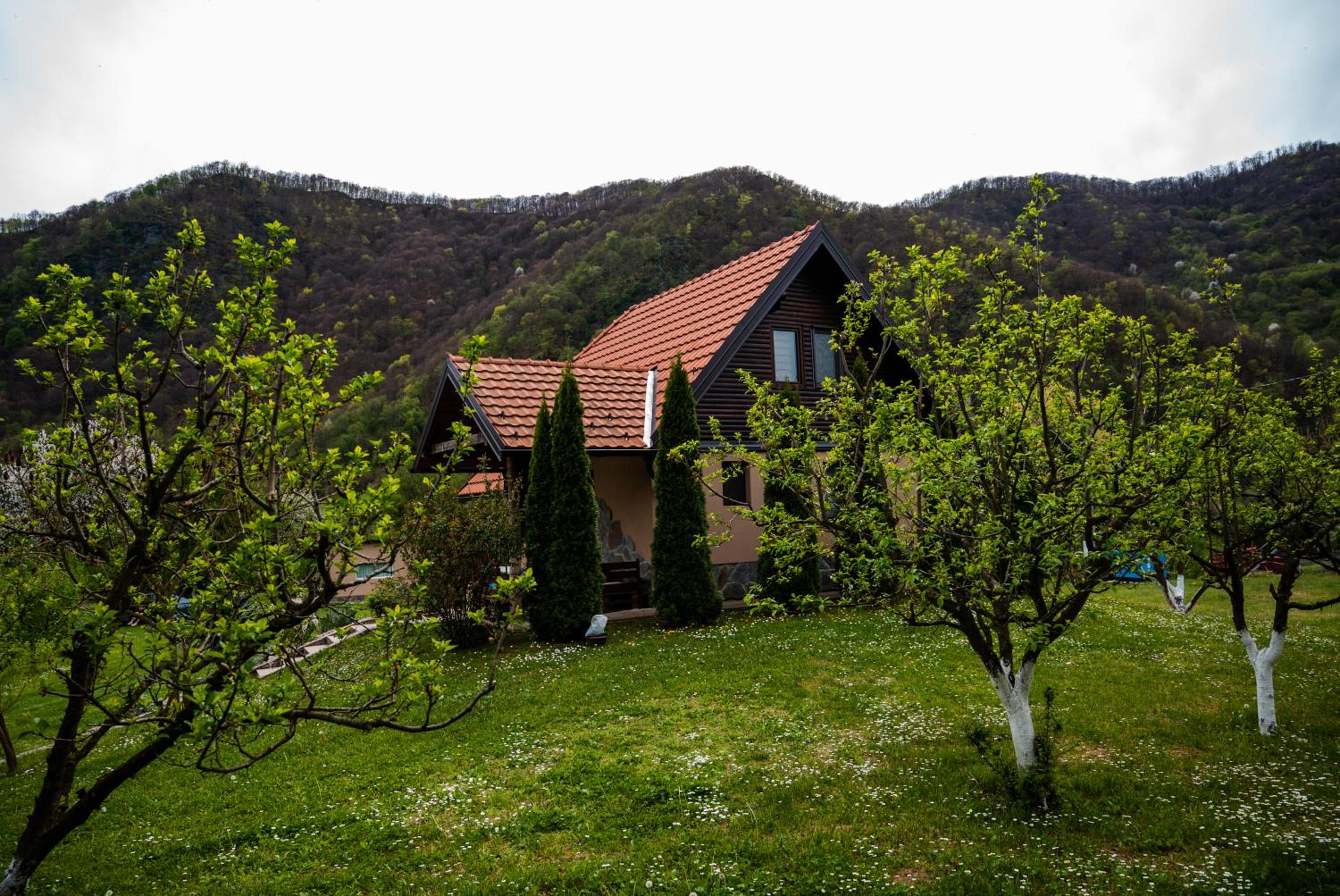 Photo 49