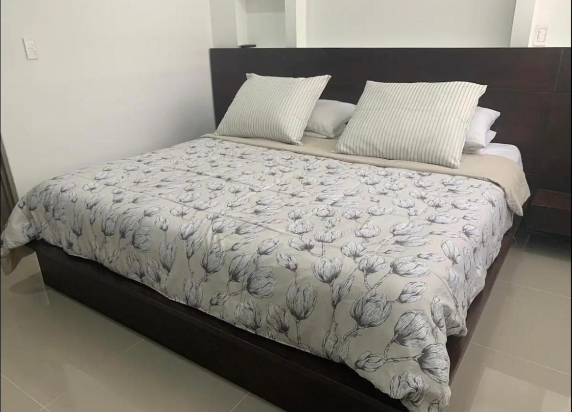 Apartamento Ibague Piedra Pintada