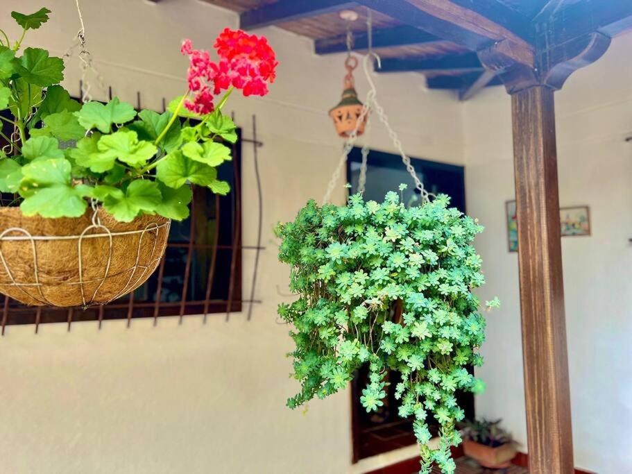 Hermosa habitación Las Palmas - Zapatoca
