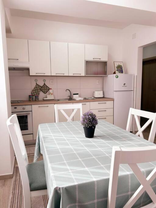 MINT Apartment