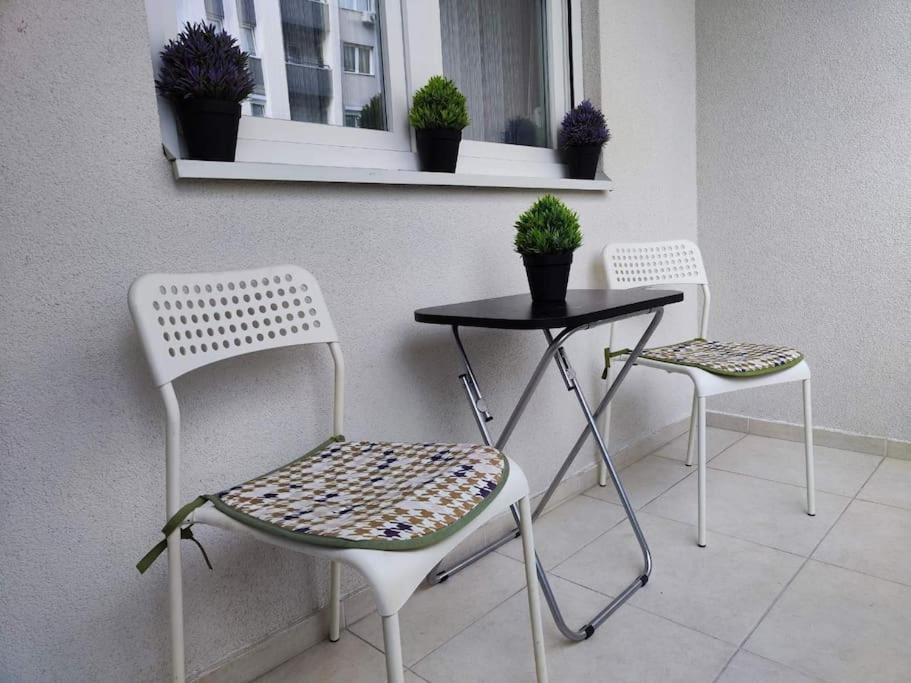 MINT Apartment