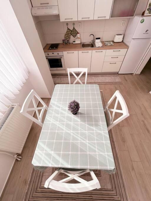 MINT Apartment