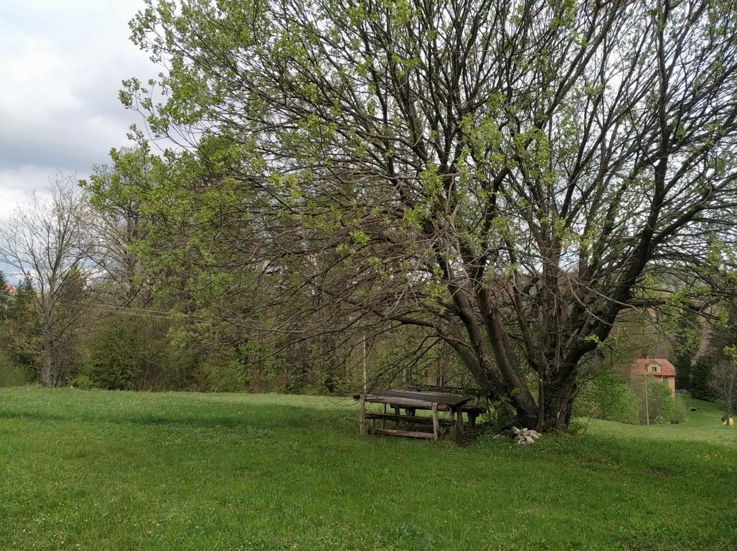 Photo 49