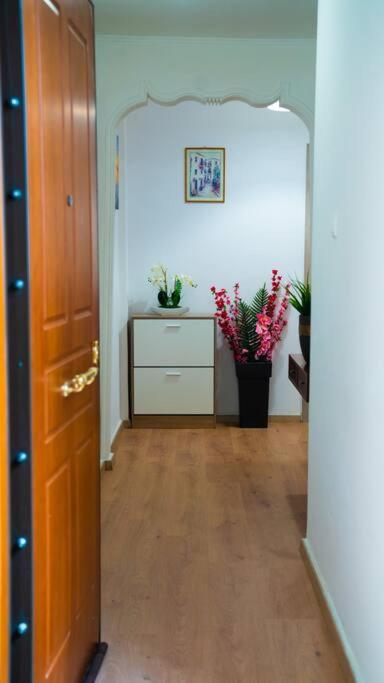Cozy Apartment in Athens Center