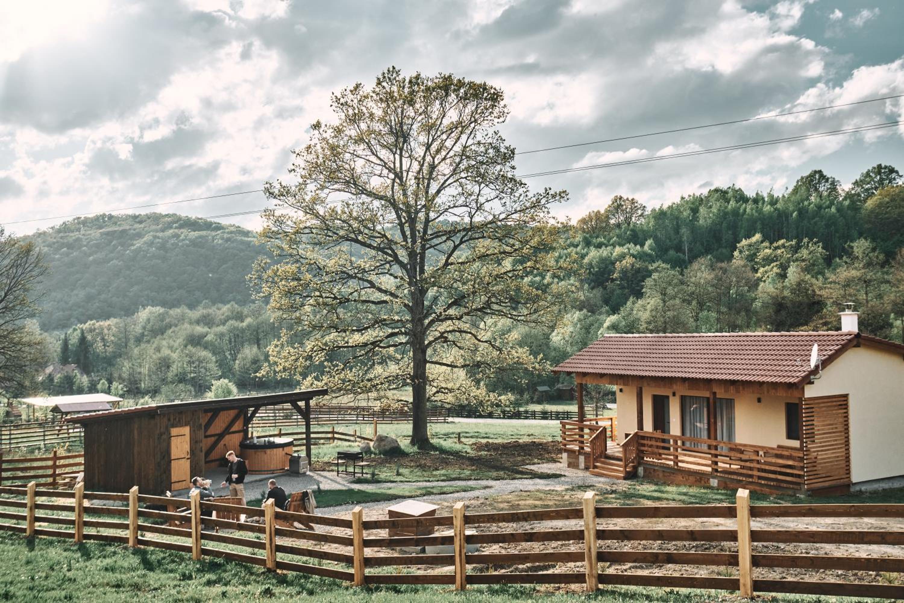 Transylvania Forest Haven-Luxury Tiny Cabin view 2