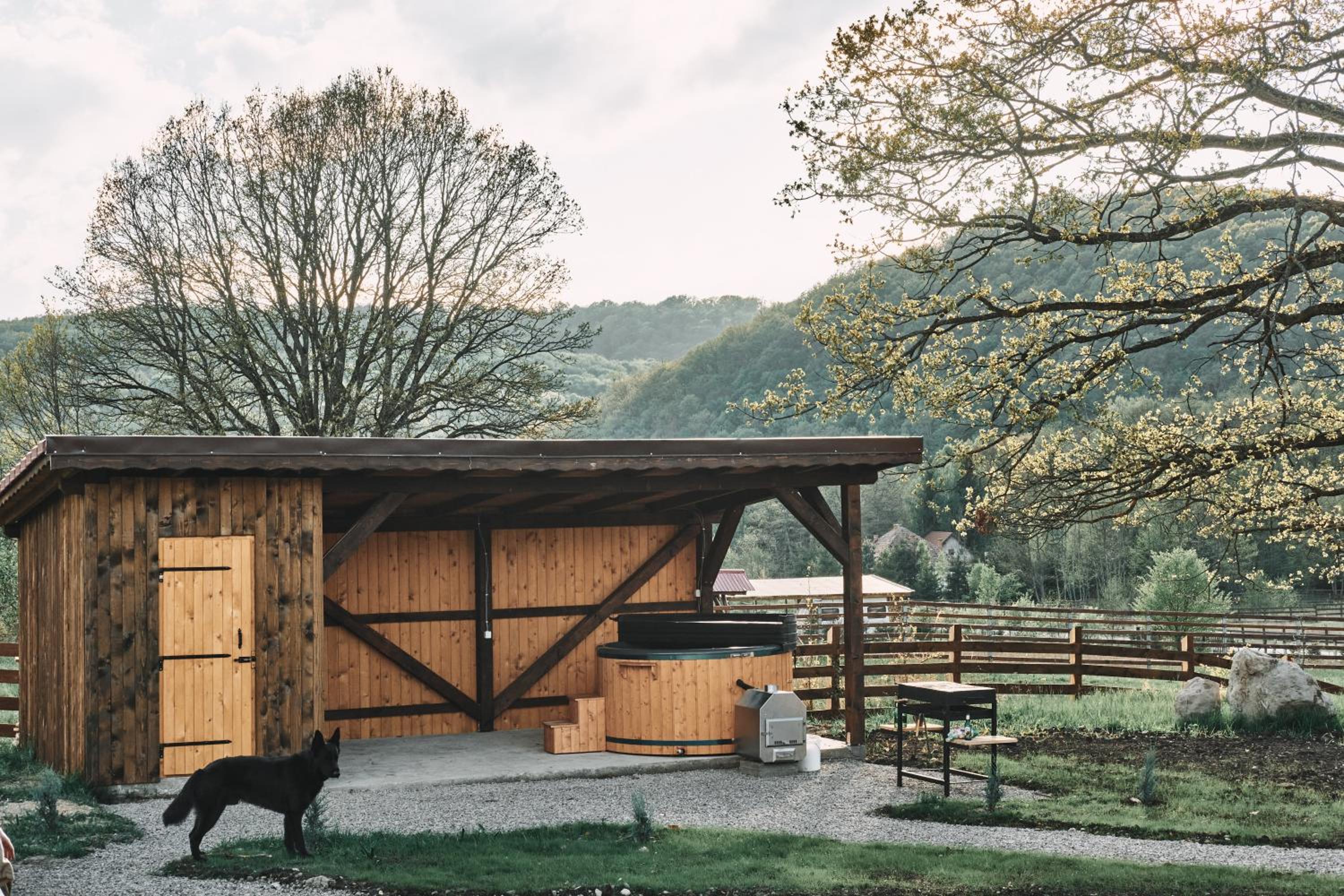Transylvania Forest Haven-Luxury Tiny Cabin view 3