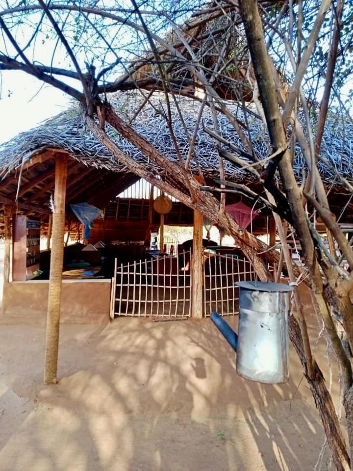 Ego Swargarajje Yala Thissamaharama view 3