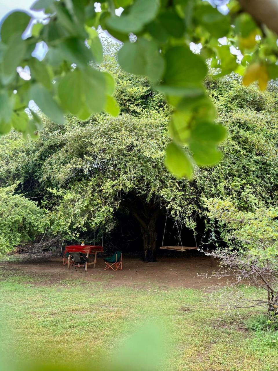 Ego Swargarajje Yala Thissamaharama view 5