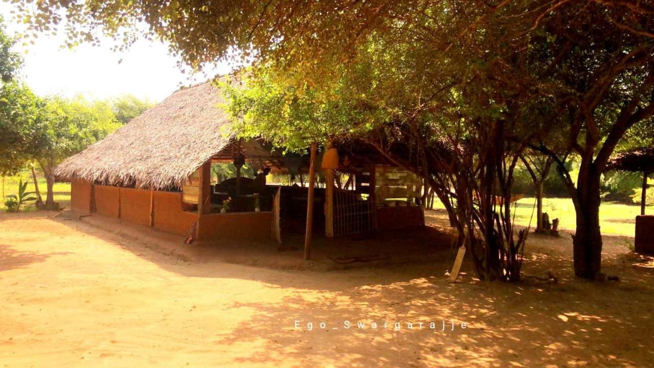 Photo 13