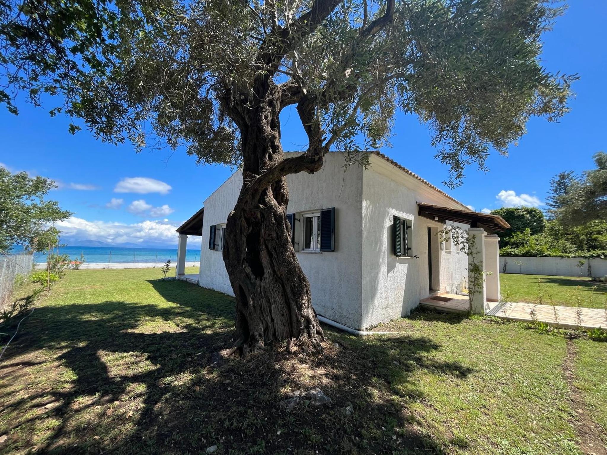 Beachfront Villa with Garden - Valentine Corfu photo 3