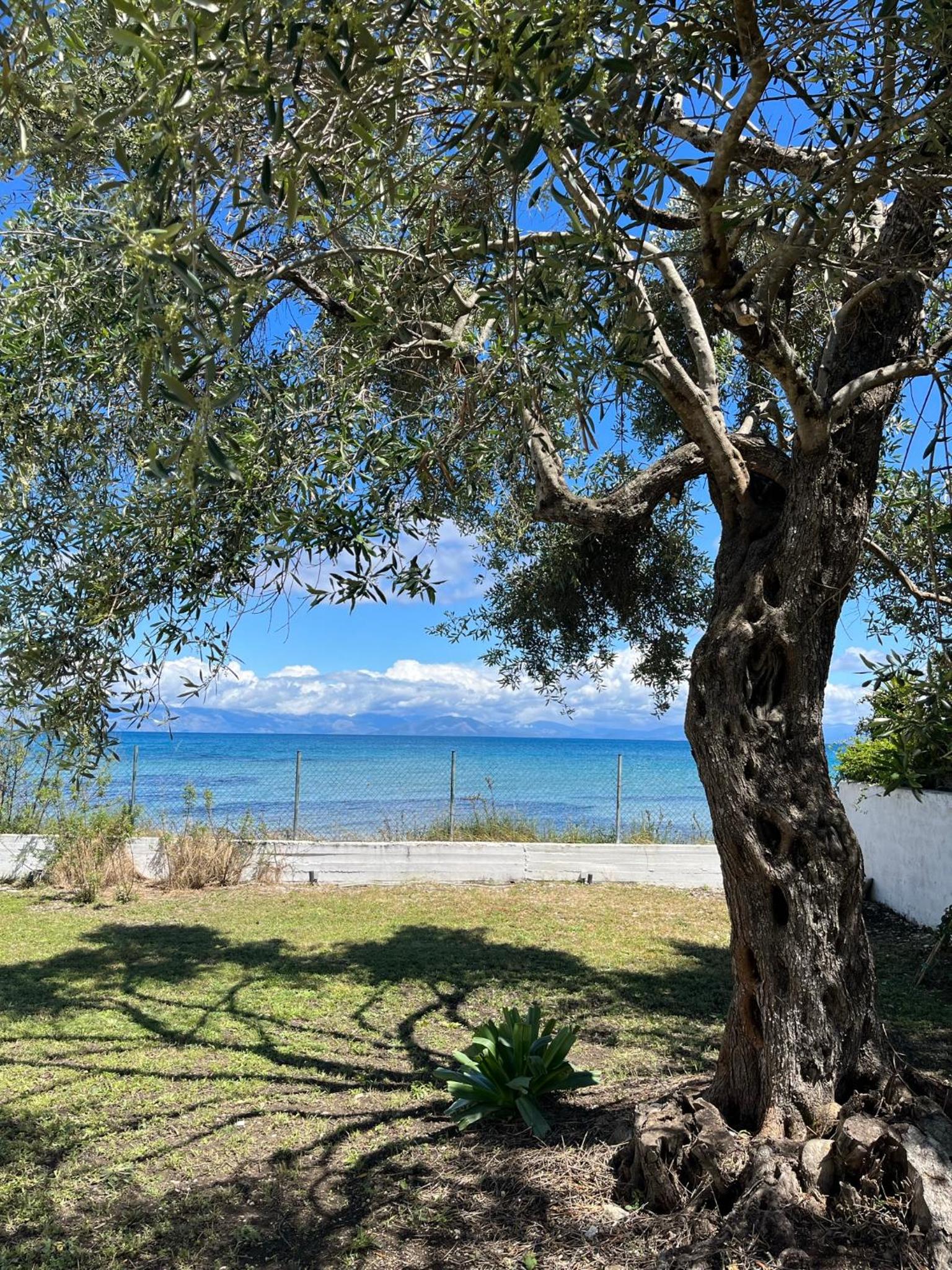 Beachfront Villa with Garden - Valentine Corfu photo 2