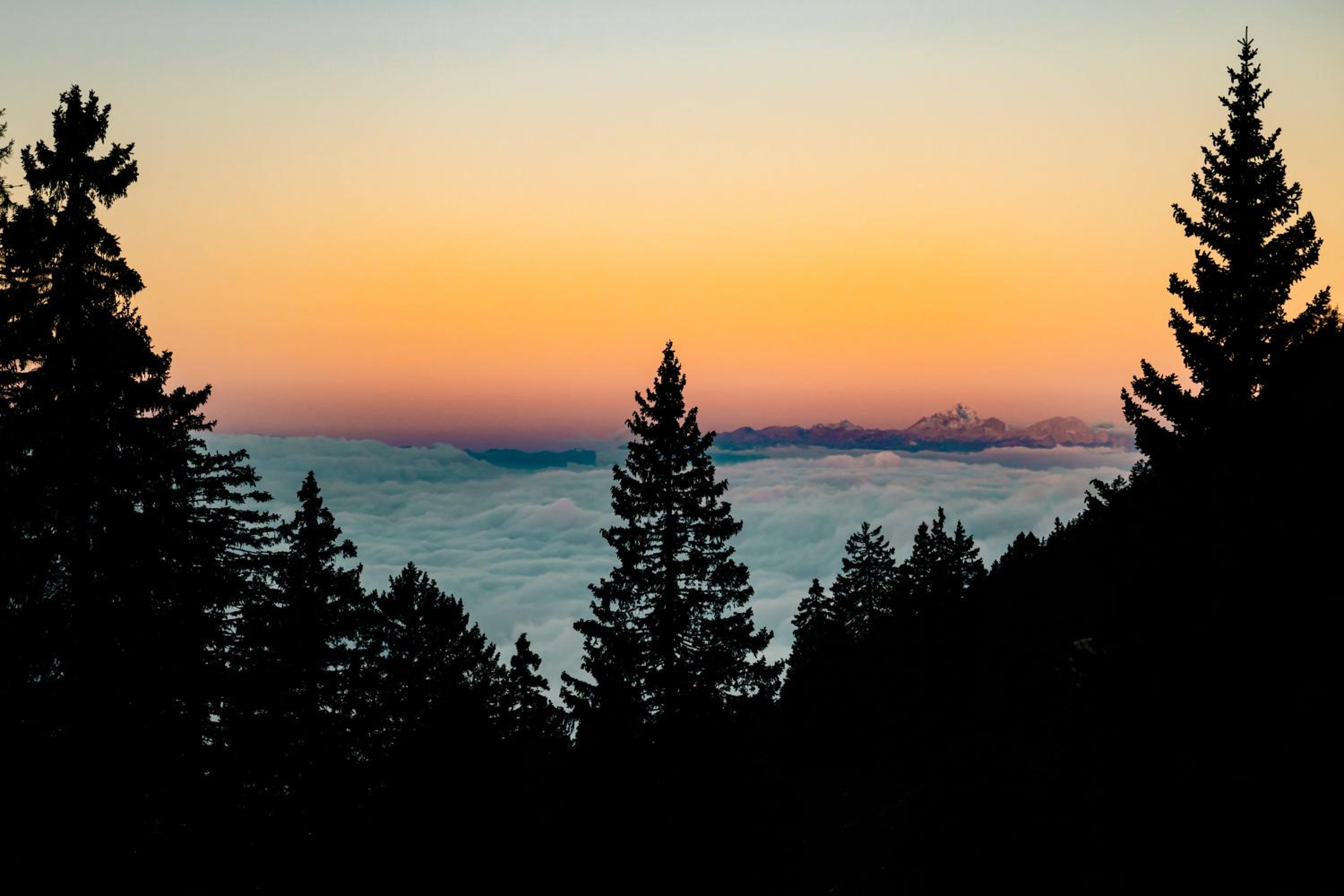 Tree House Alpinka Krvavec view 2