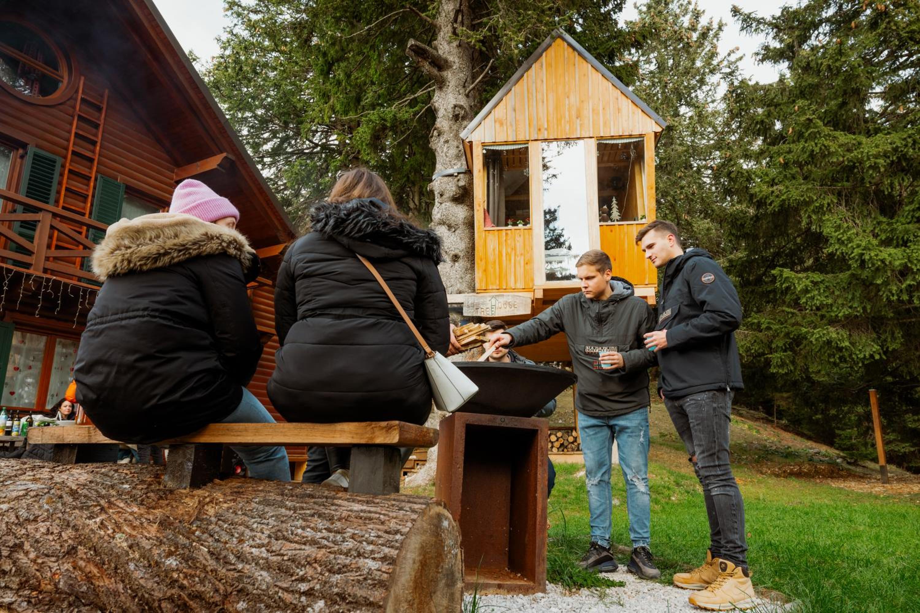 Tree House Alpinka Krvavec view 3