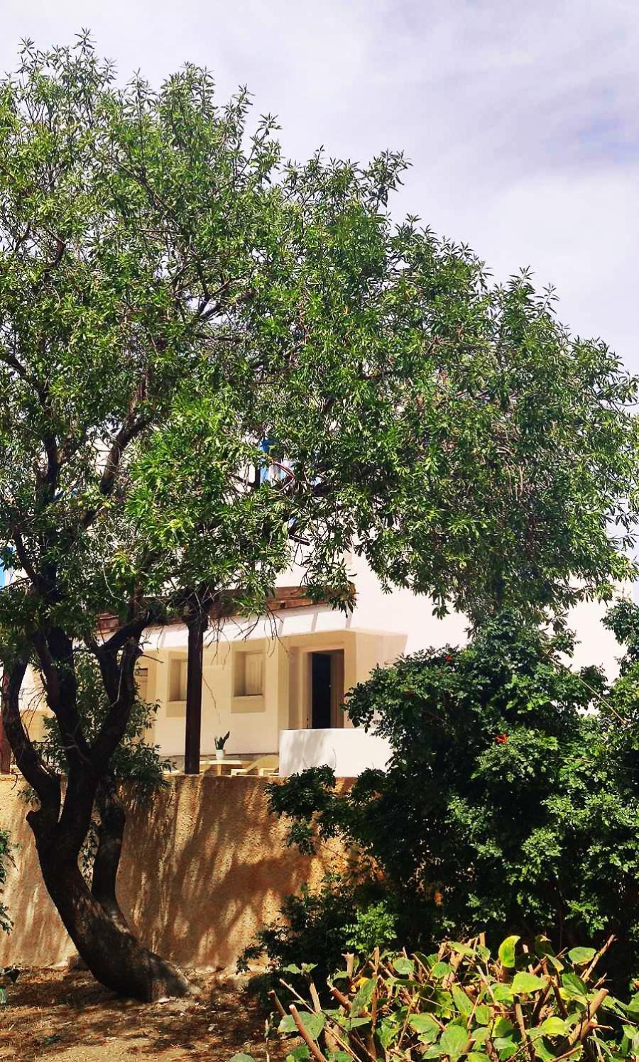 Hotel Anthelia Apartments - Image 1